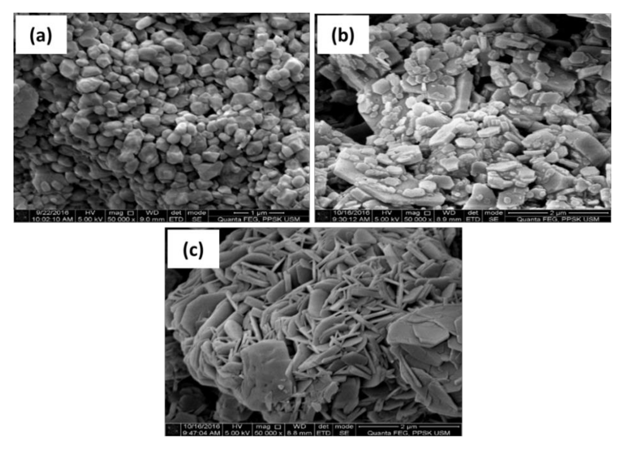 Applsci 10 07170 g003