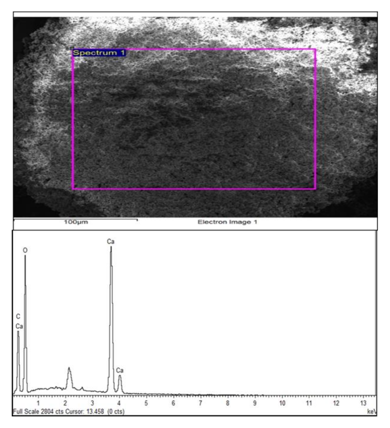 Applsci 10 07170 g007