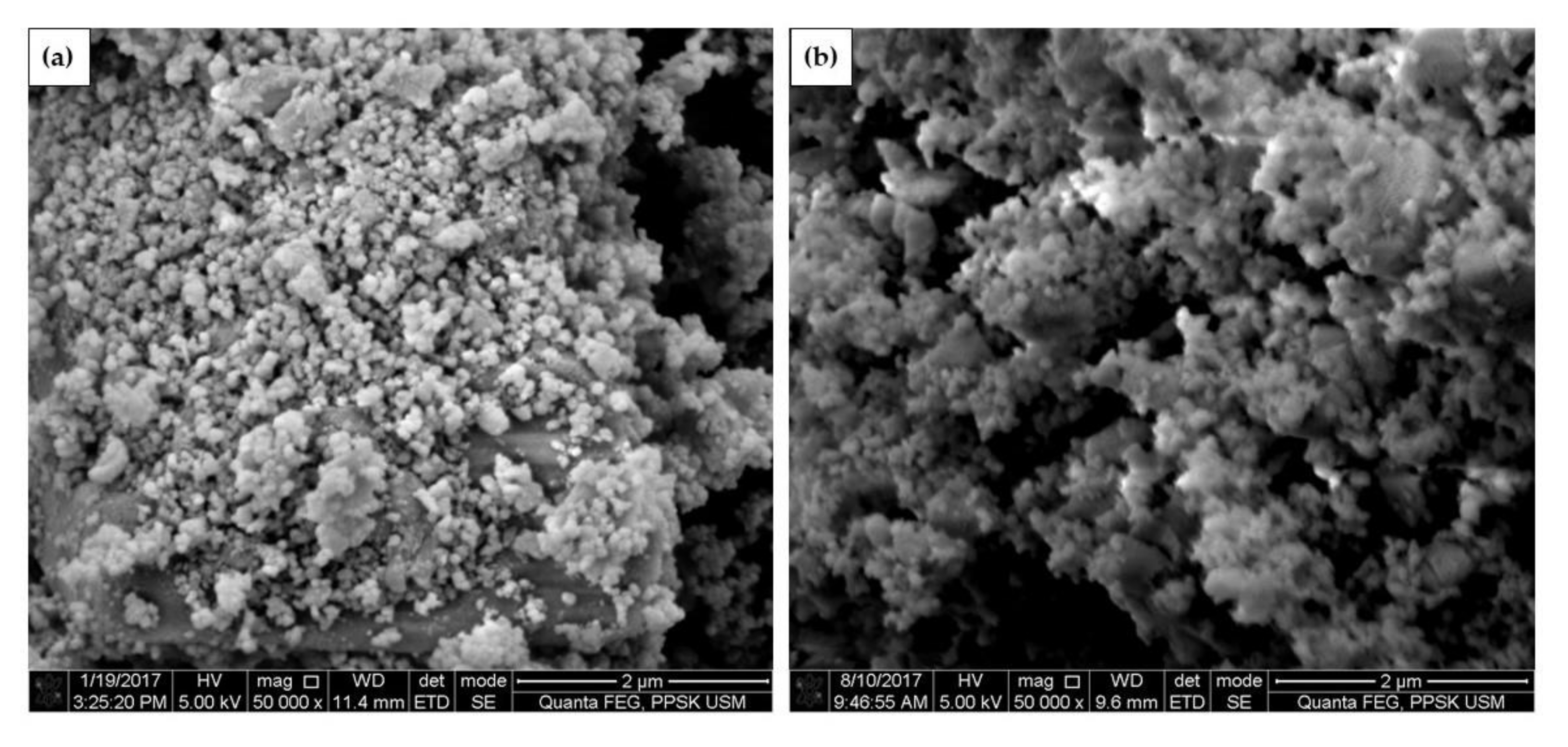 Applsci 10 07170 g012