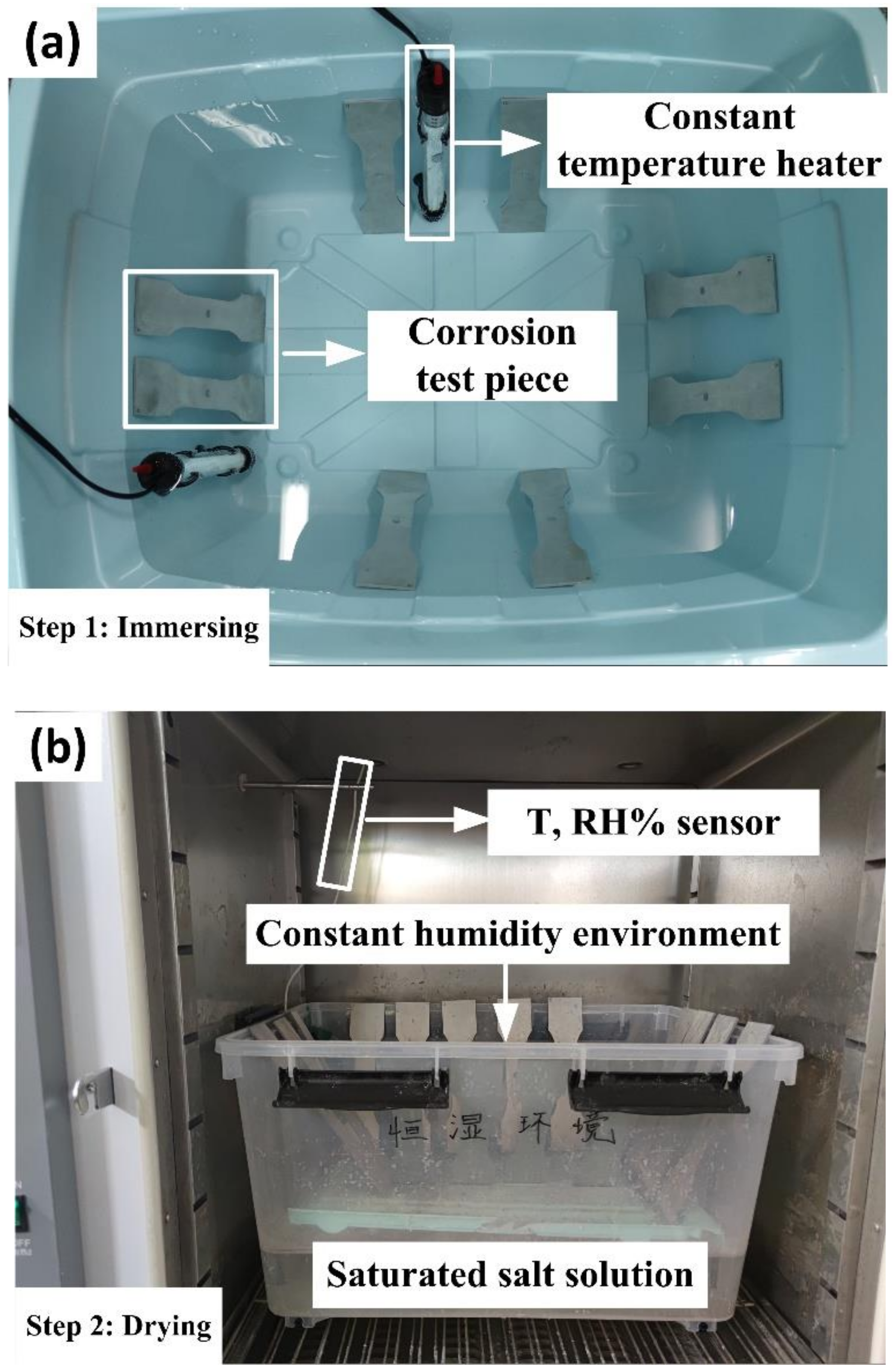 Applsci 10 07184 g002