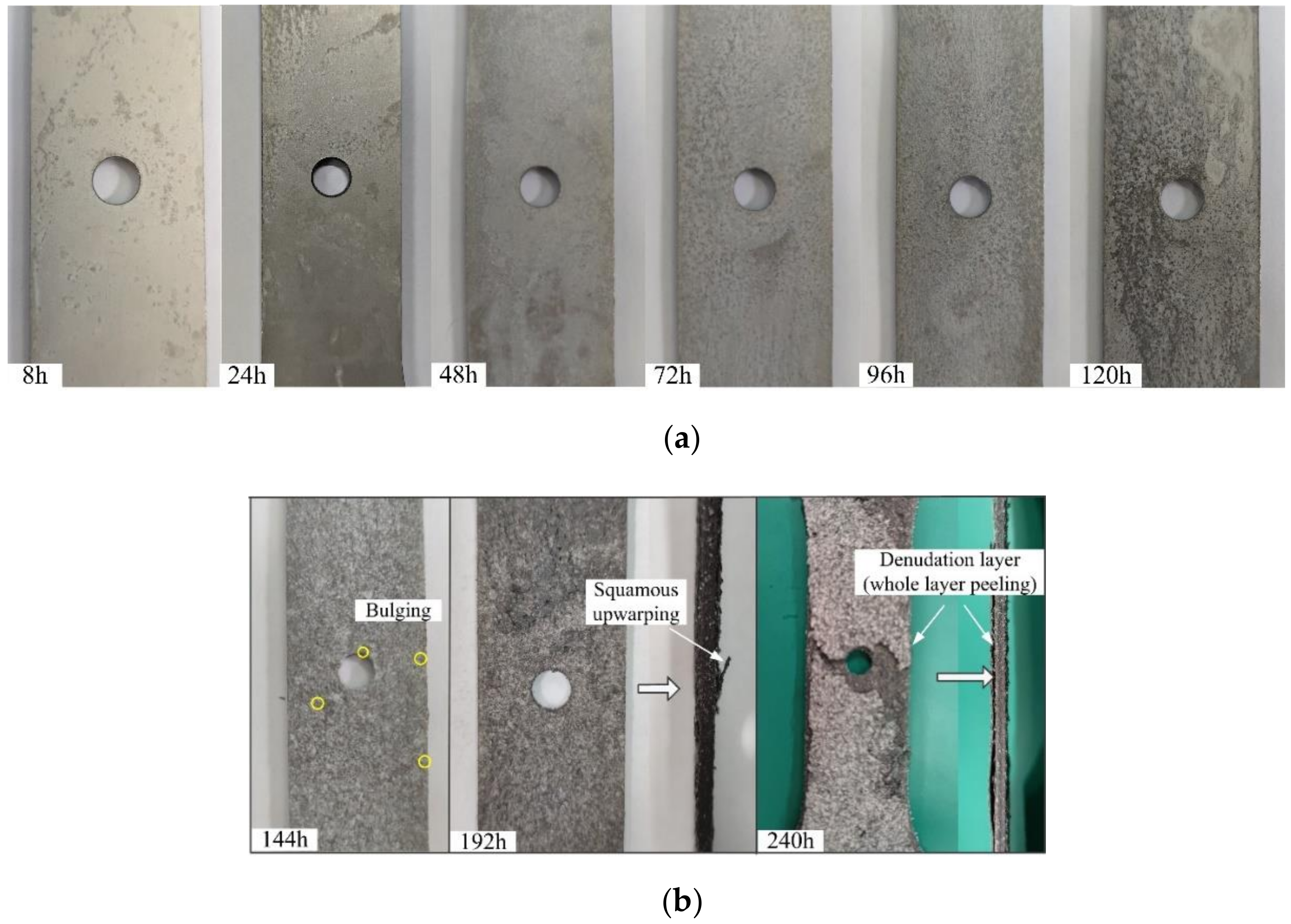 Applsci 10 07184 g004