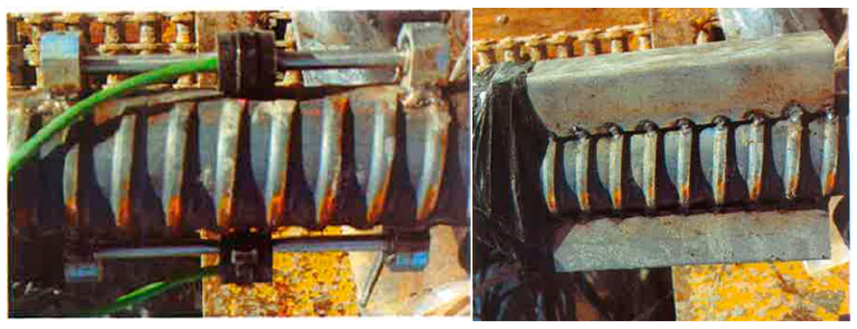 Applsci 10 07194 g002