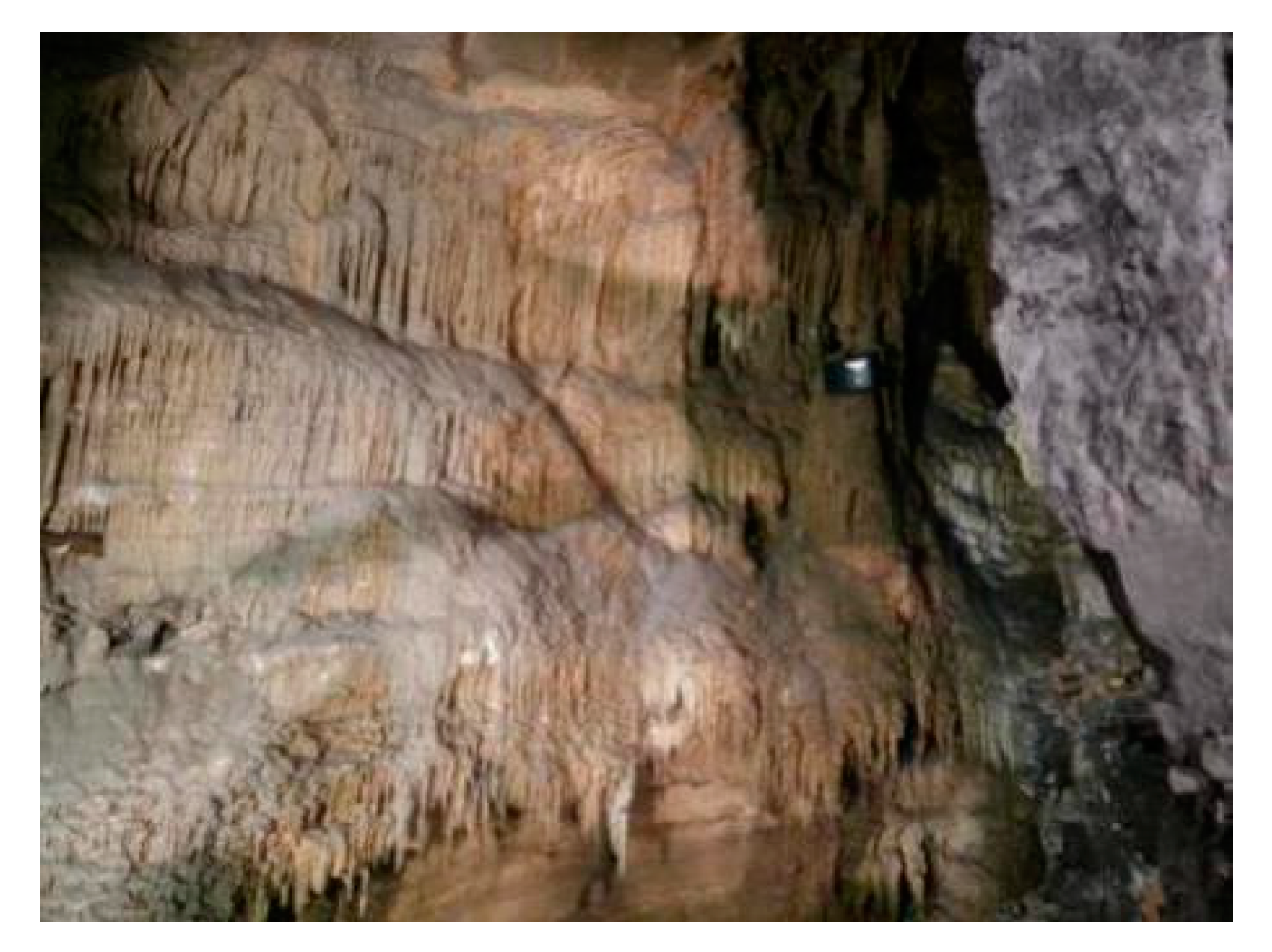 Applsci 10 07204 g019