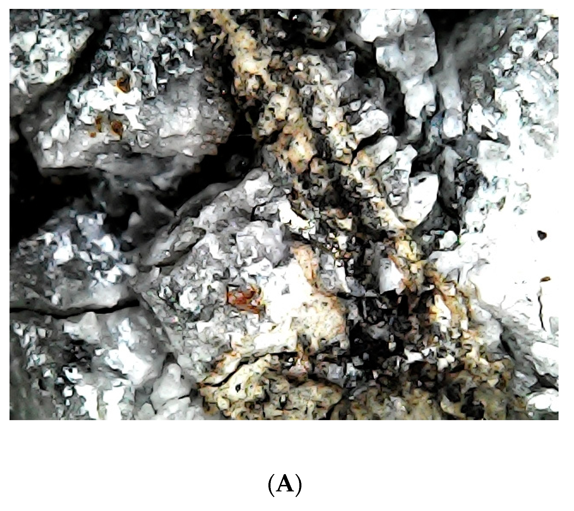 Applsci 10 07236 g008a