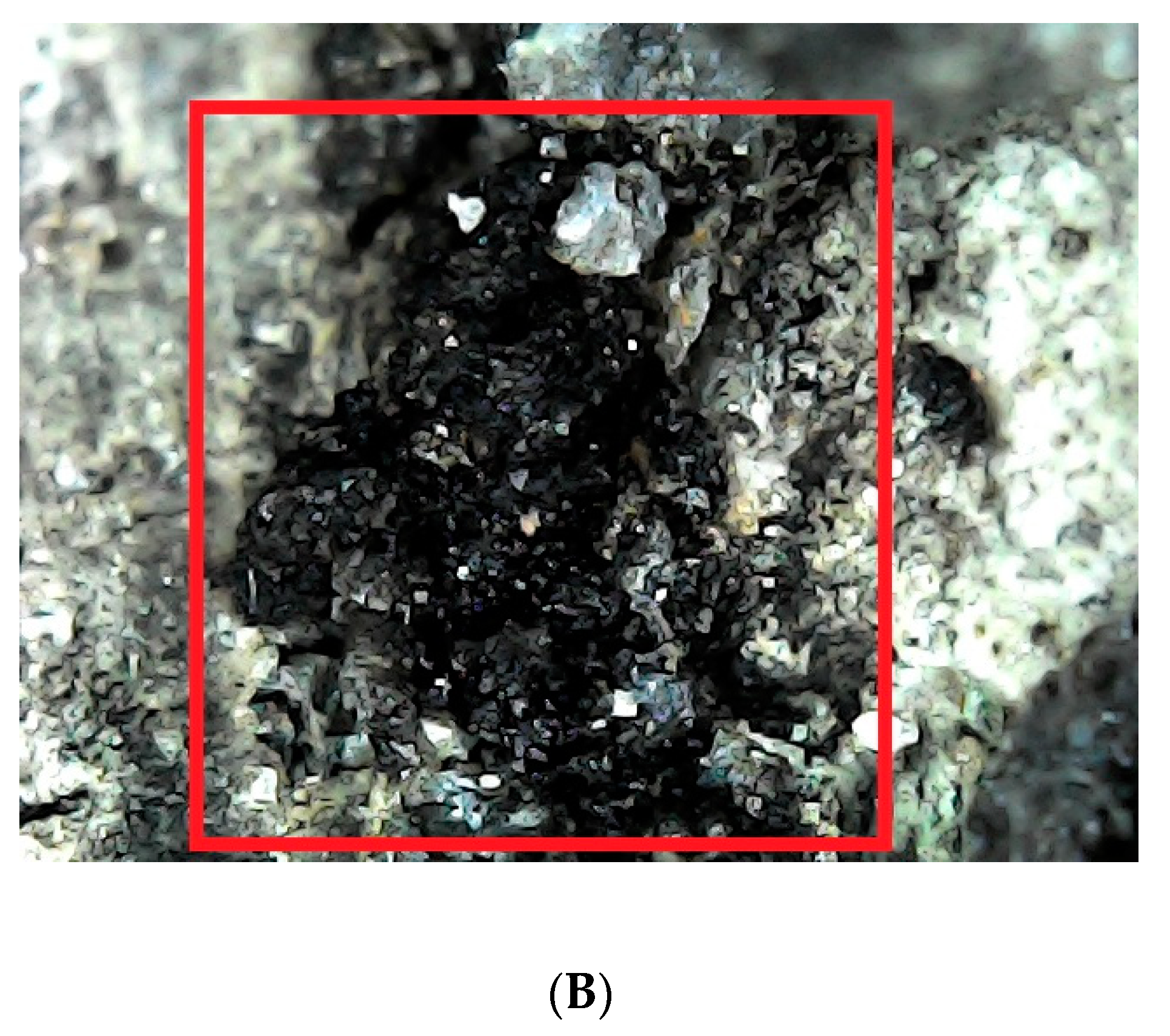 Applsci 10 07236 g008b