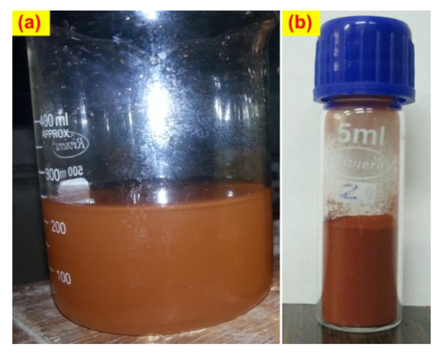 Applsci 10 07237 g001