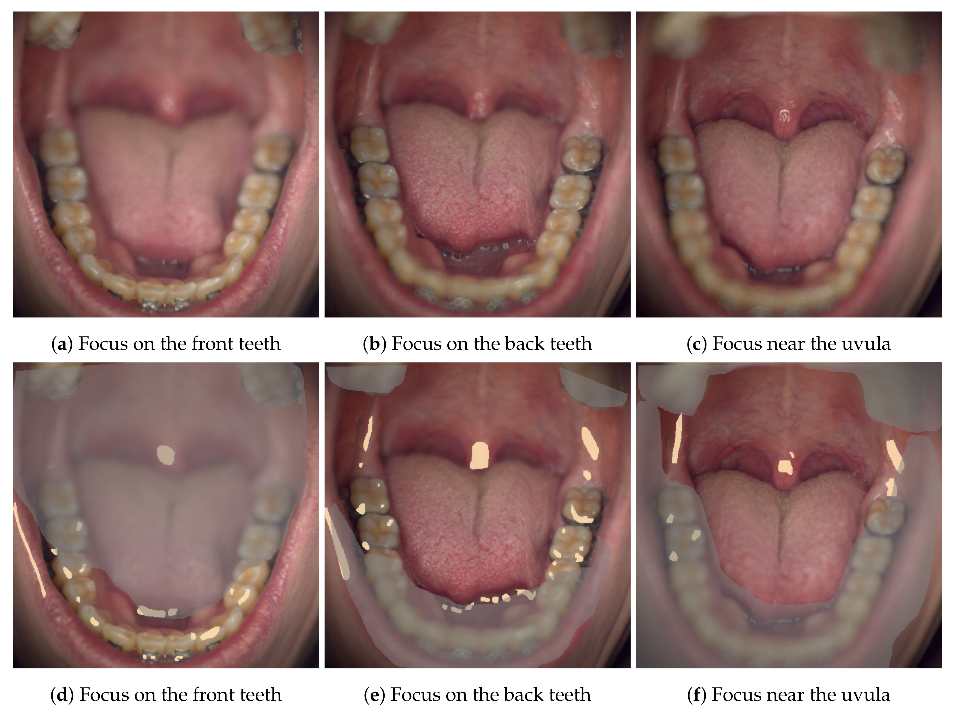 Applsci 10 07246 g006