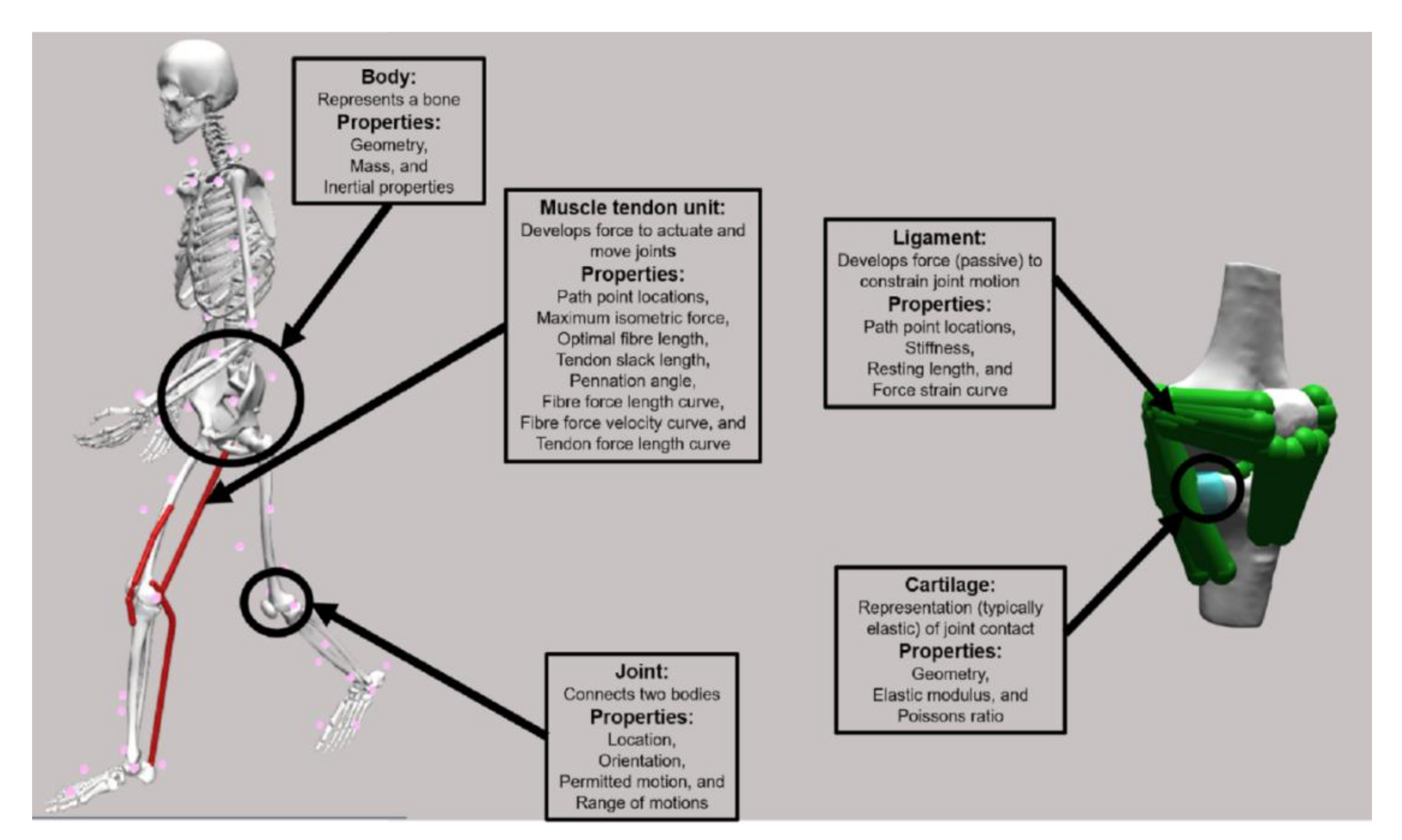 Applsci 10 07255 g002