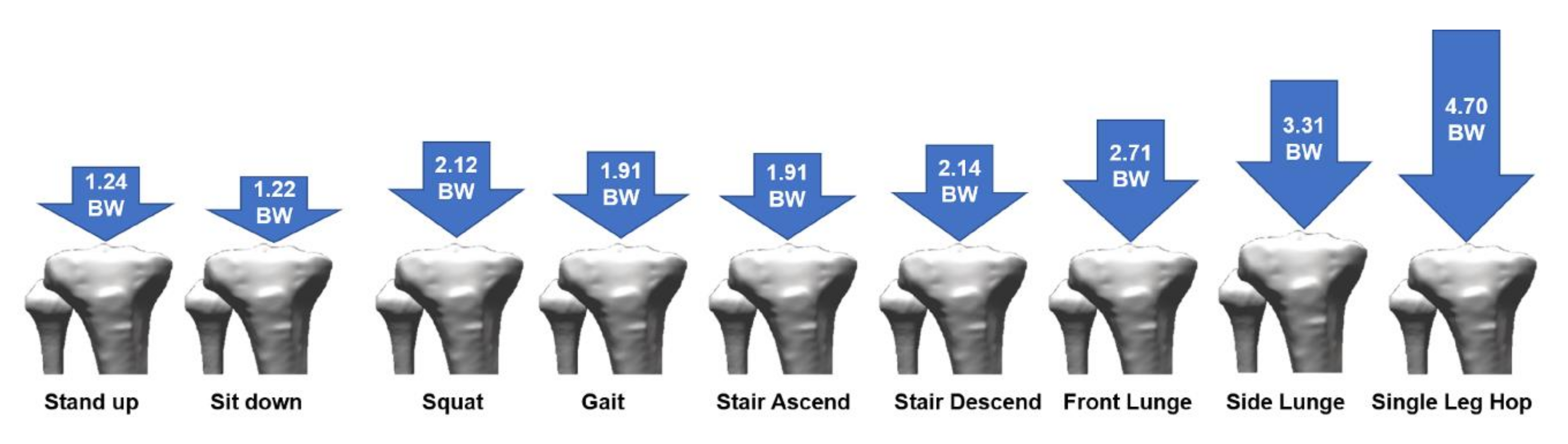 Applsci 10 07255 g005