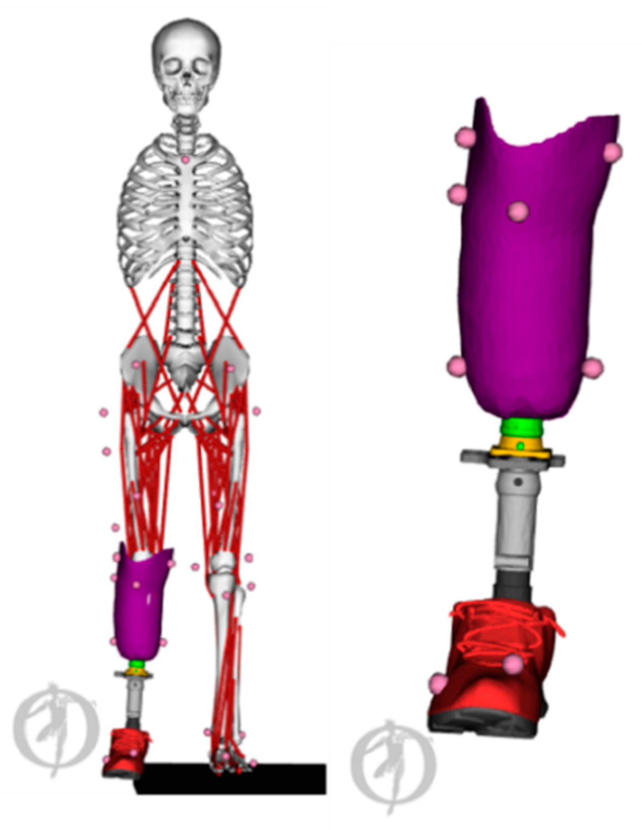 Applsci 10 07255 g006