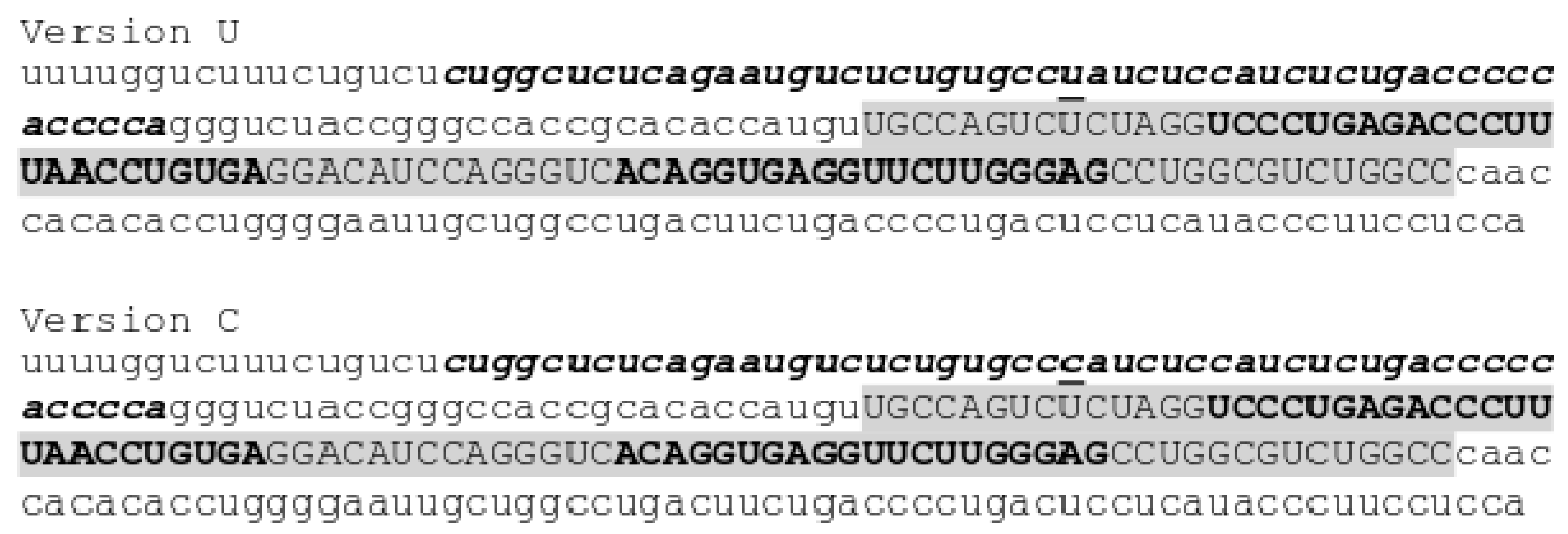 Applsci 10 07275 g001