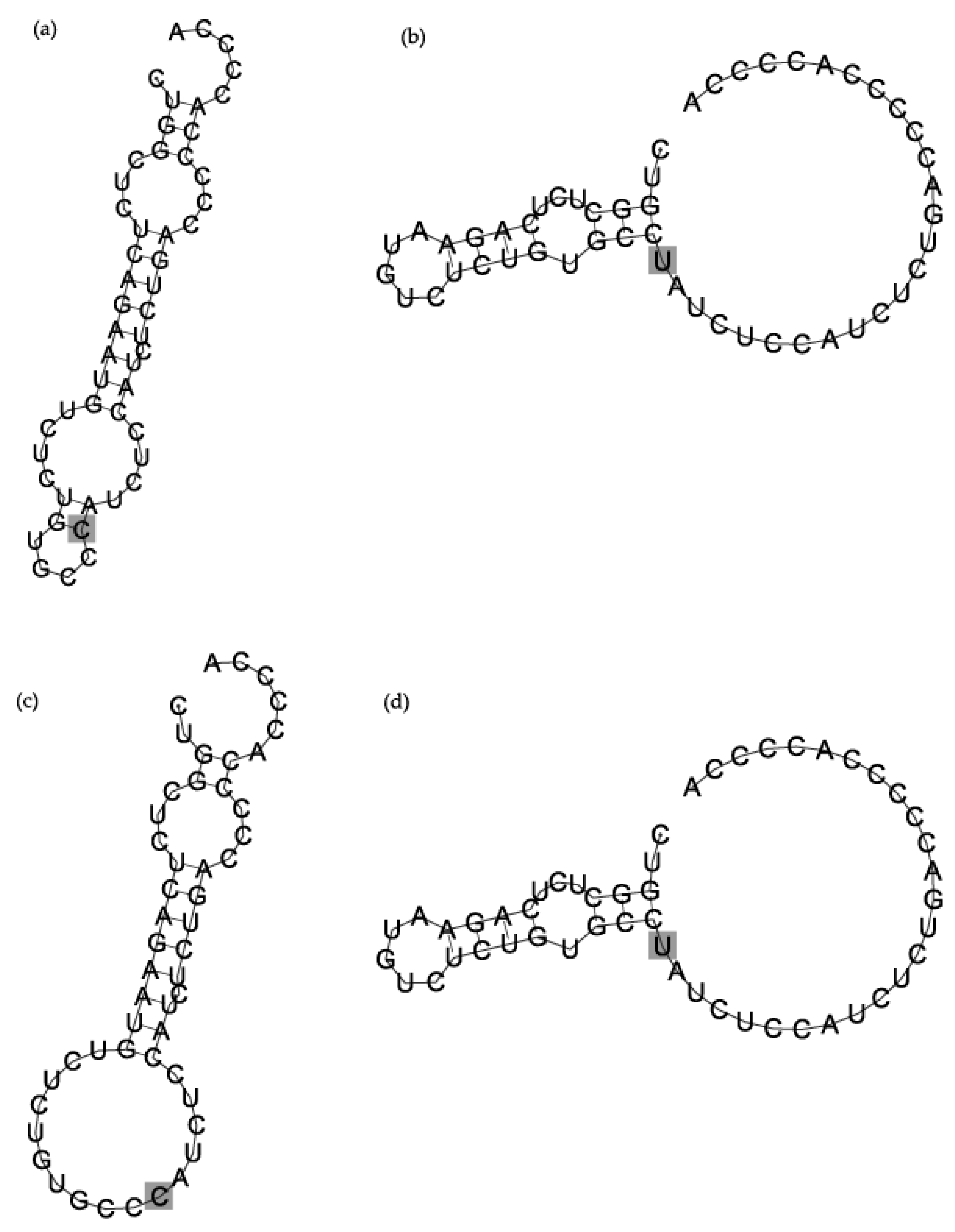 Applsci 10 07275 g002