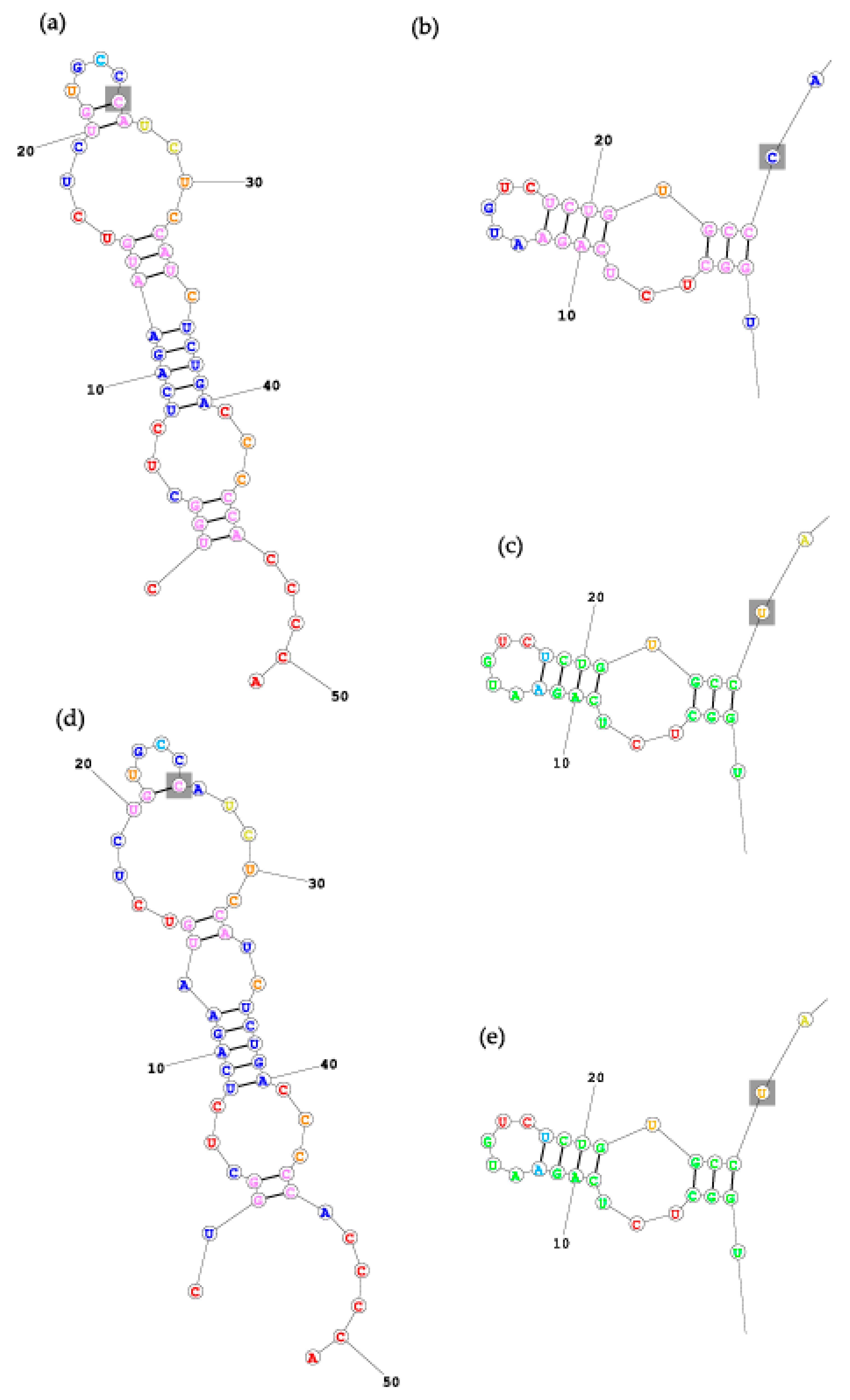 Applsci 10 07275 g003