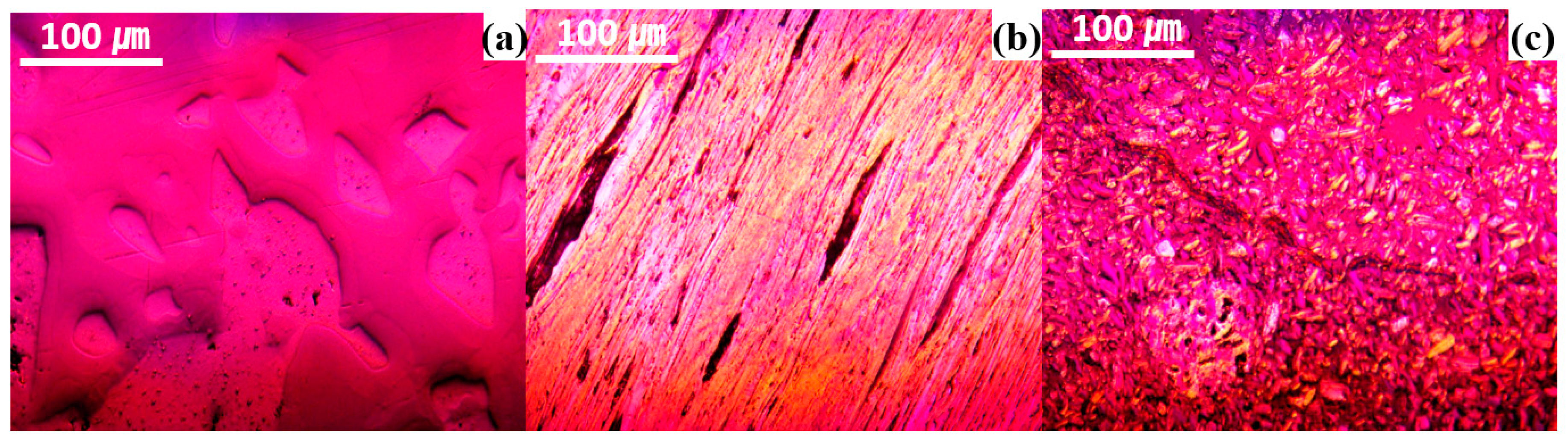 Applsci 10 07281 g001