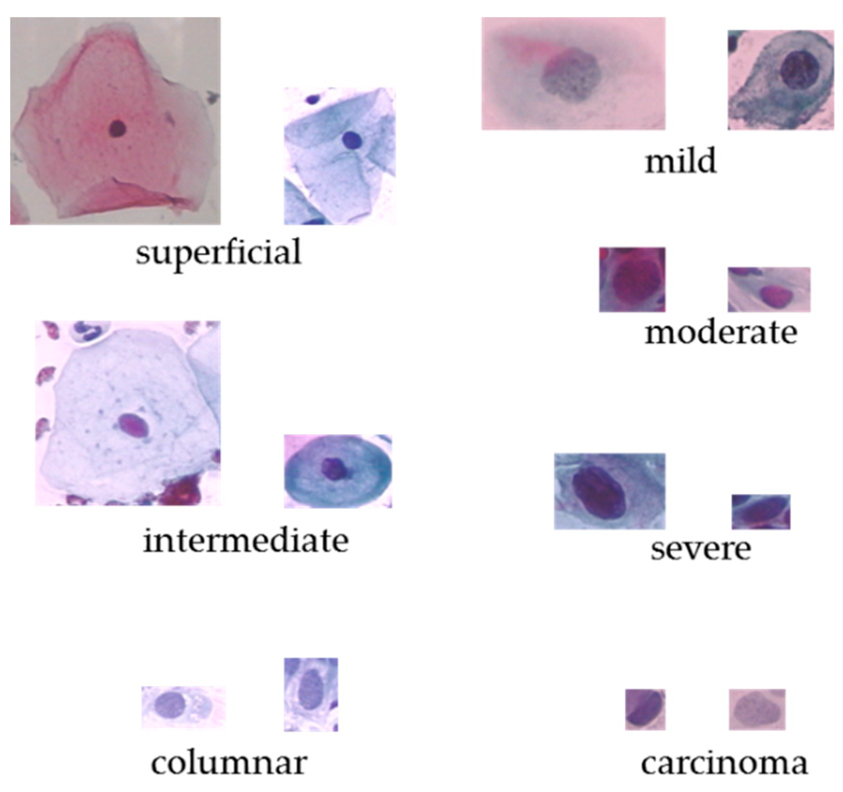 Applsci 10 07292 g001