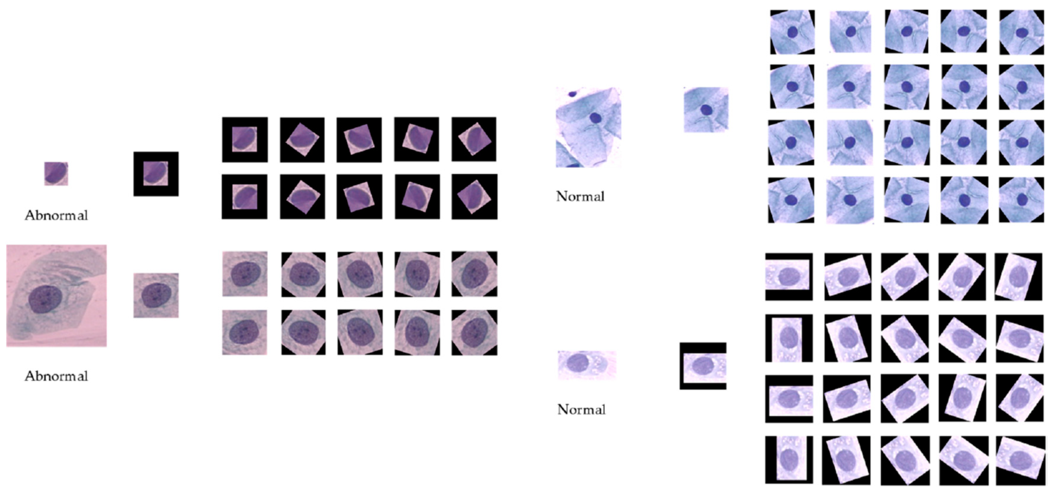 Applsci 10 07292 g002