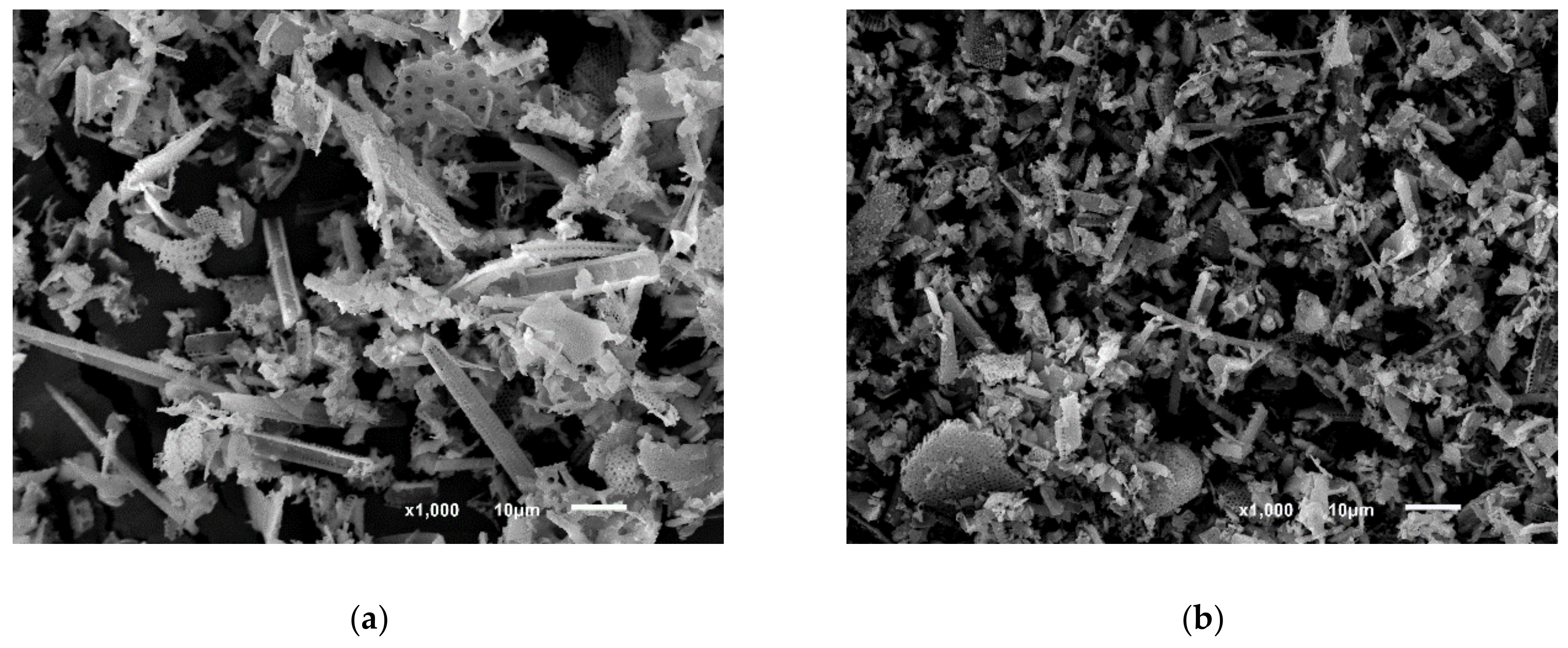 Applsci 10 07297 g002a Applsci 10 07297 g002a