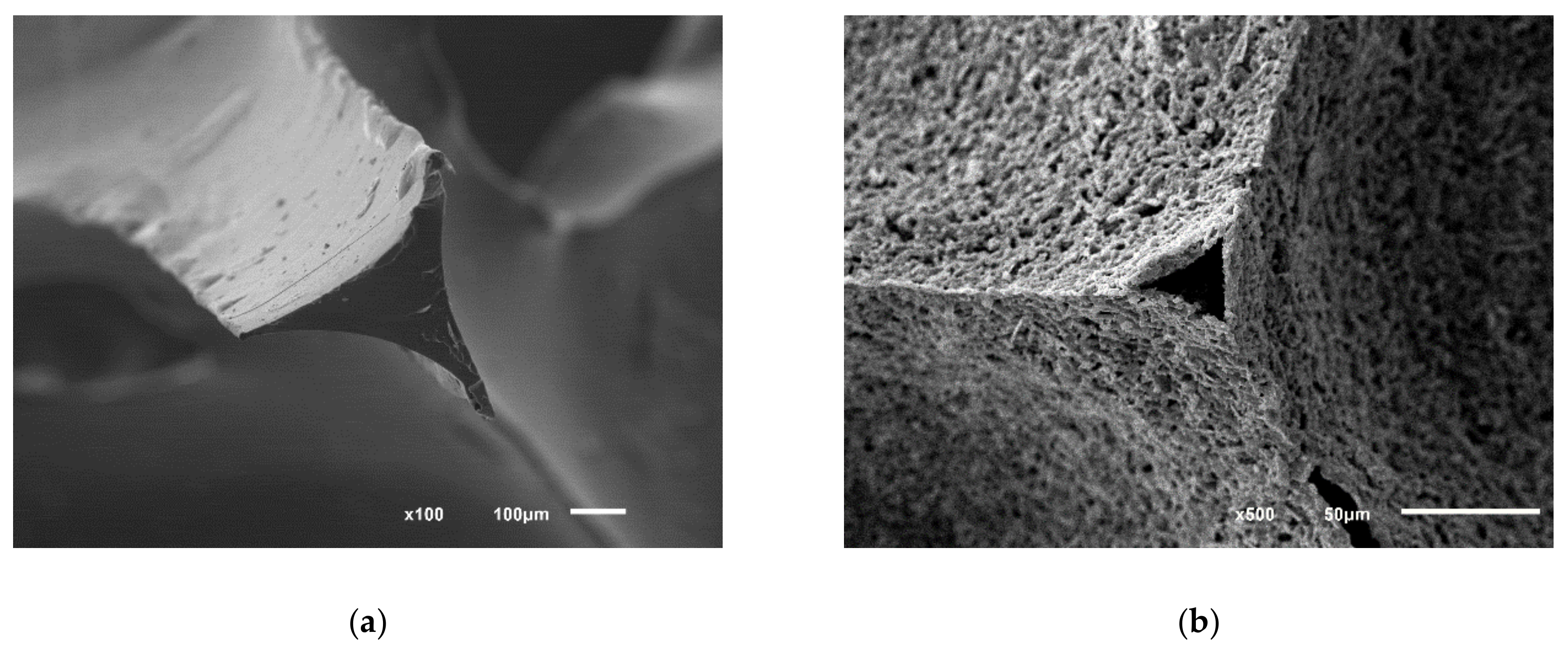 Applsci 10 07297 g003 Applsci 10 07297 g003