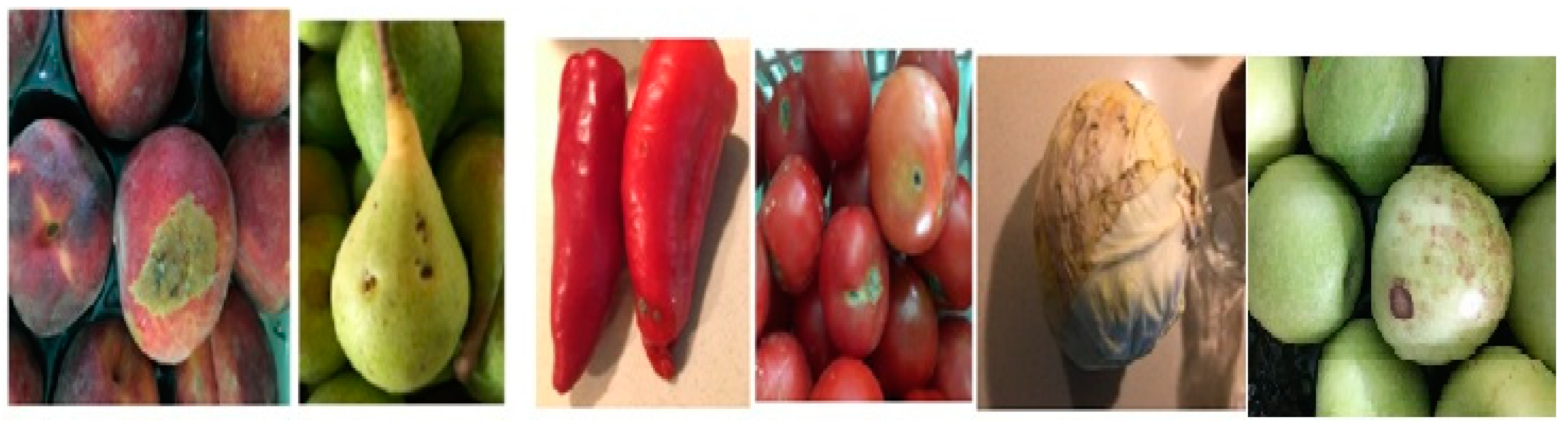 Applsci 10 07309 g001 Applsci 10 07309 g001