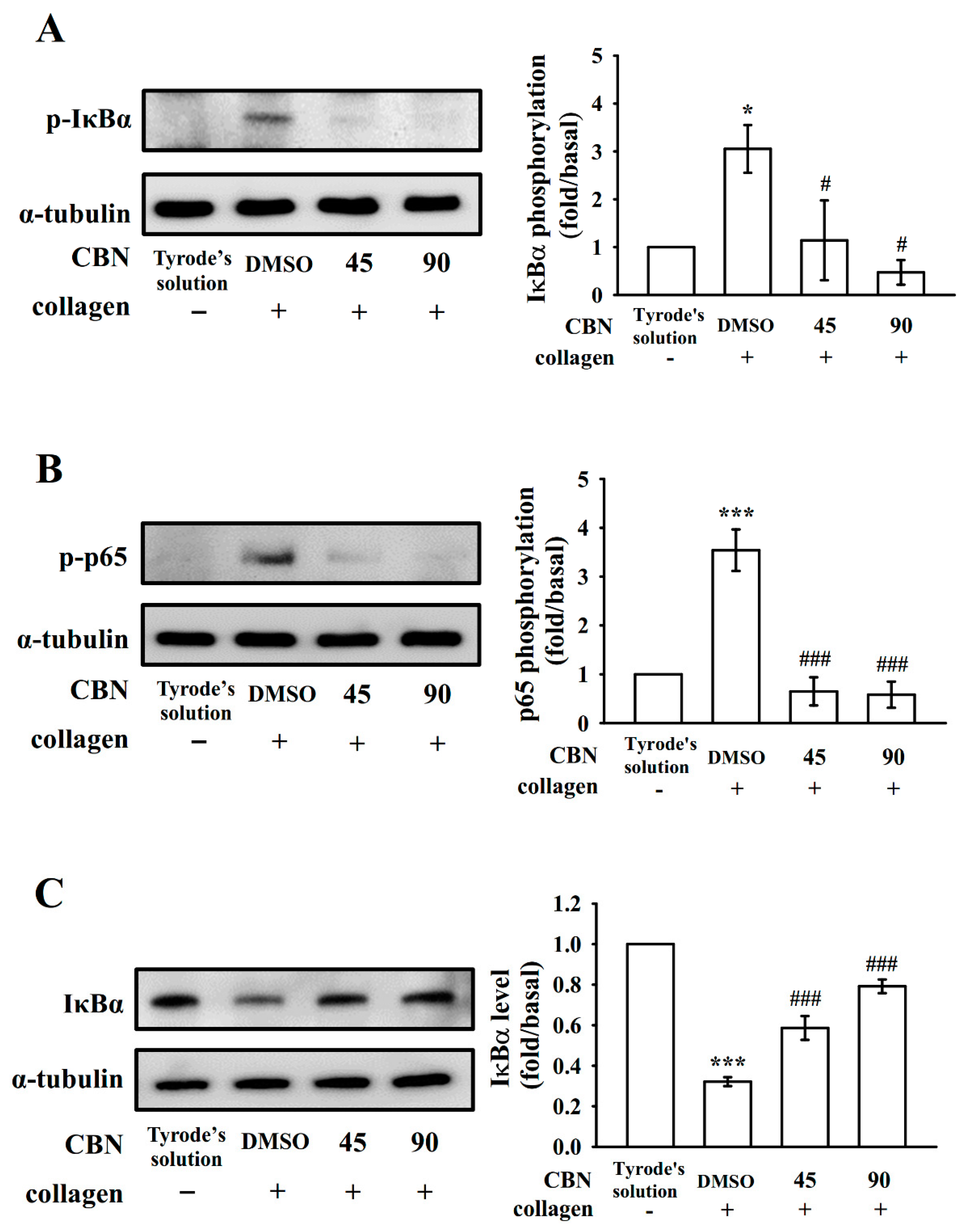 Applsci 10 07323 g003
