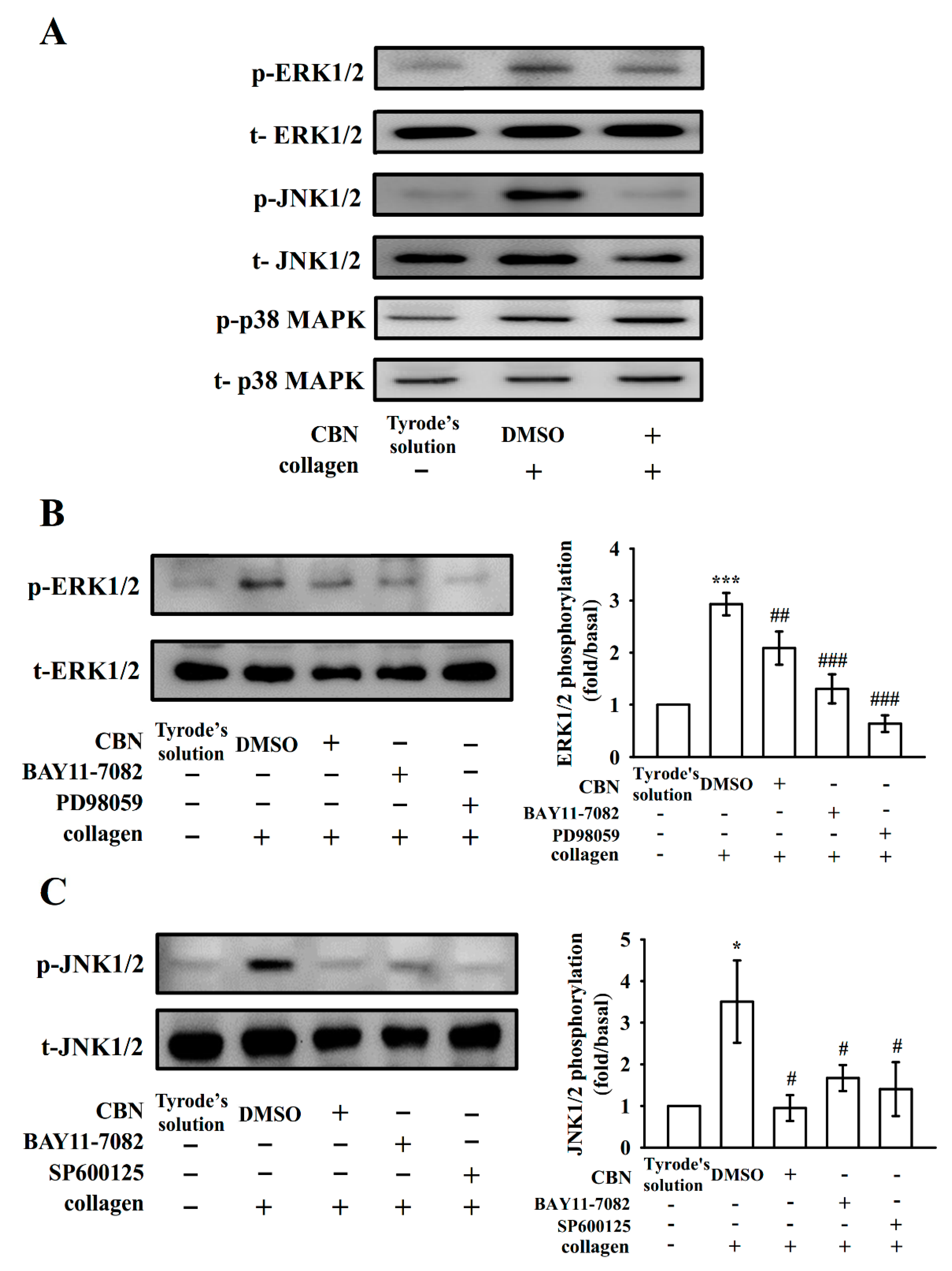 Applsci 10 07323 g004