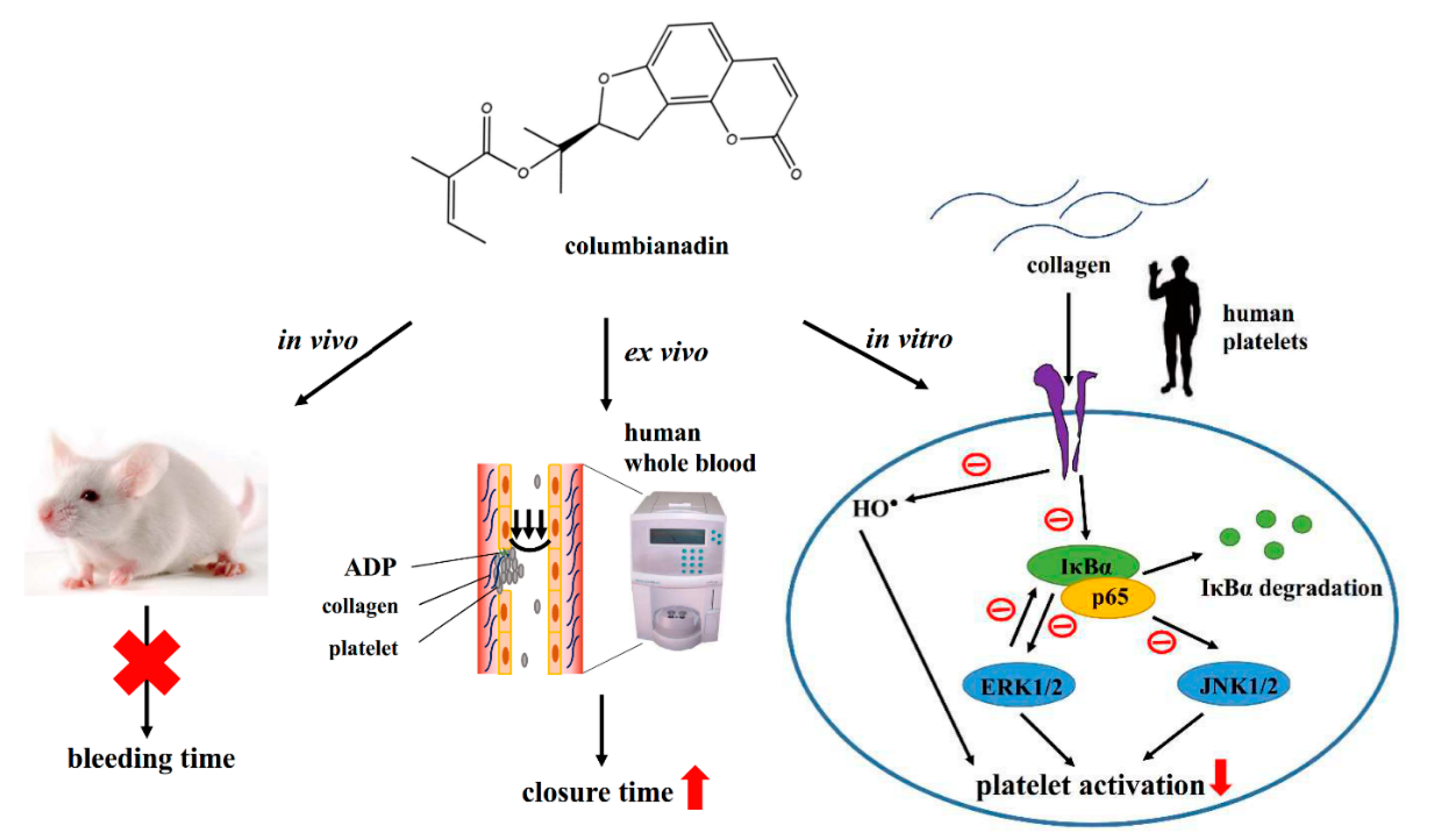 Applsci 10 07323 g007