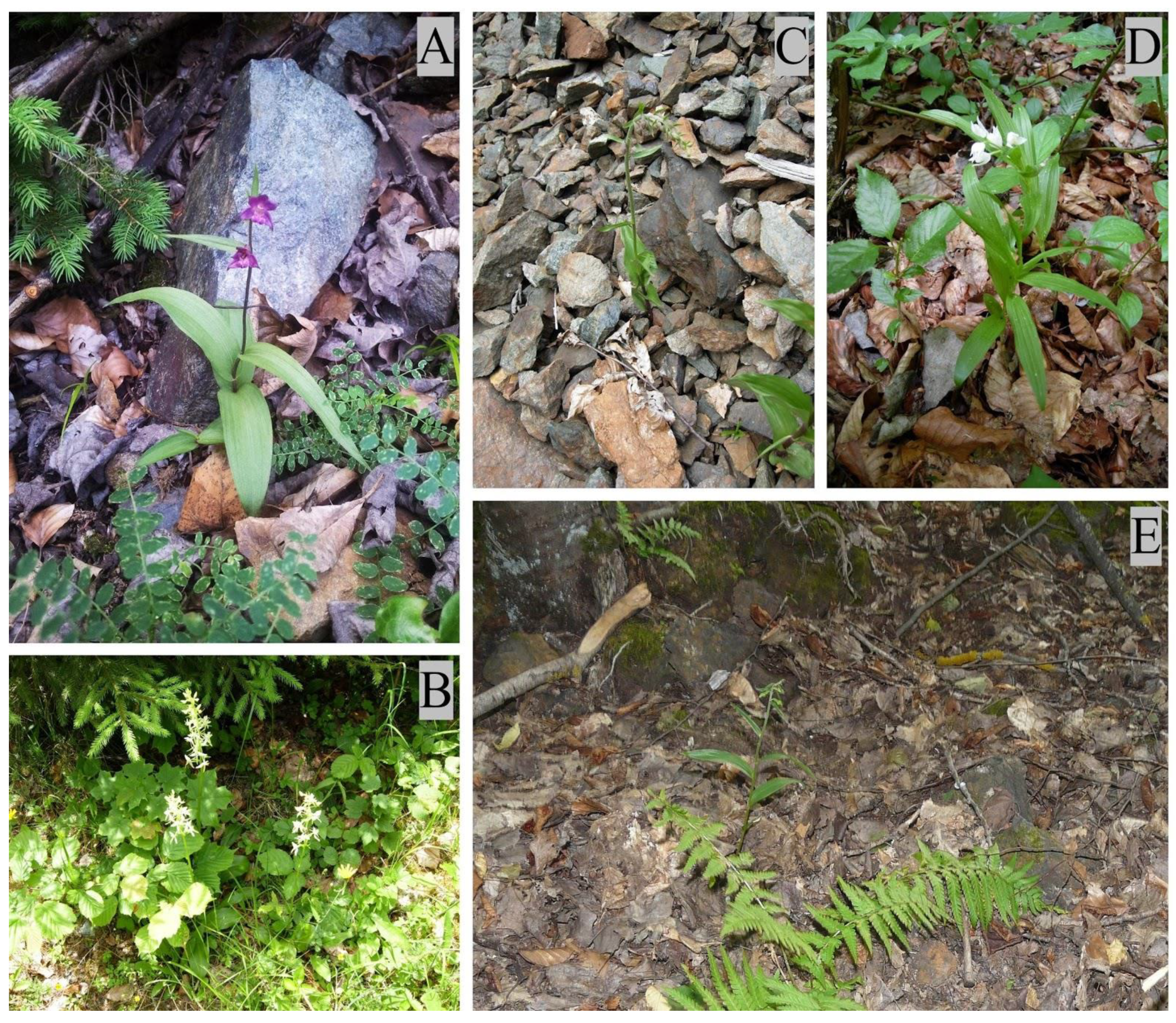 Applsci 10 07367 g001 Applsci 10 07367 g001