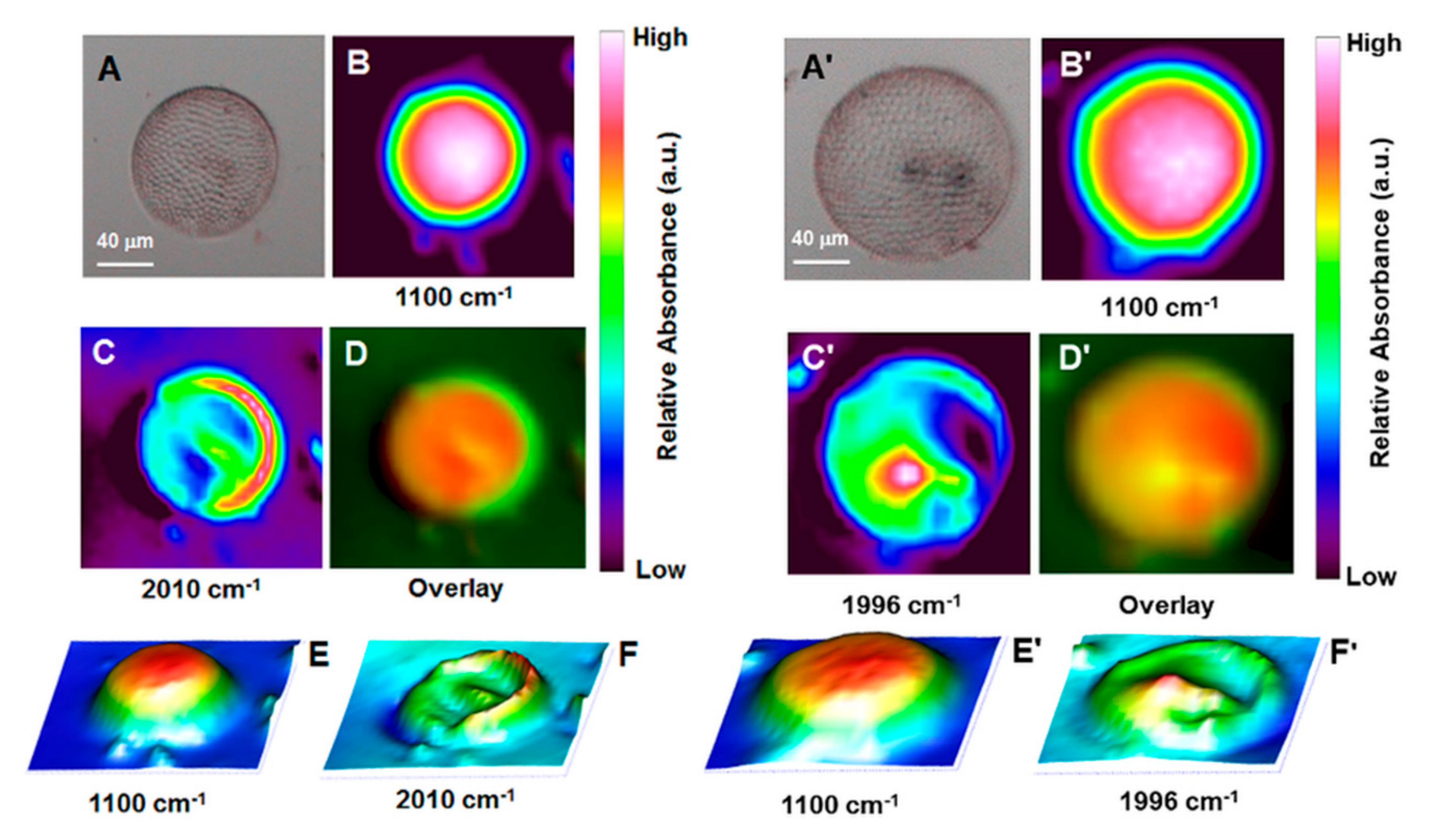 Applsci 10 07380 g003
