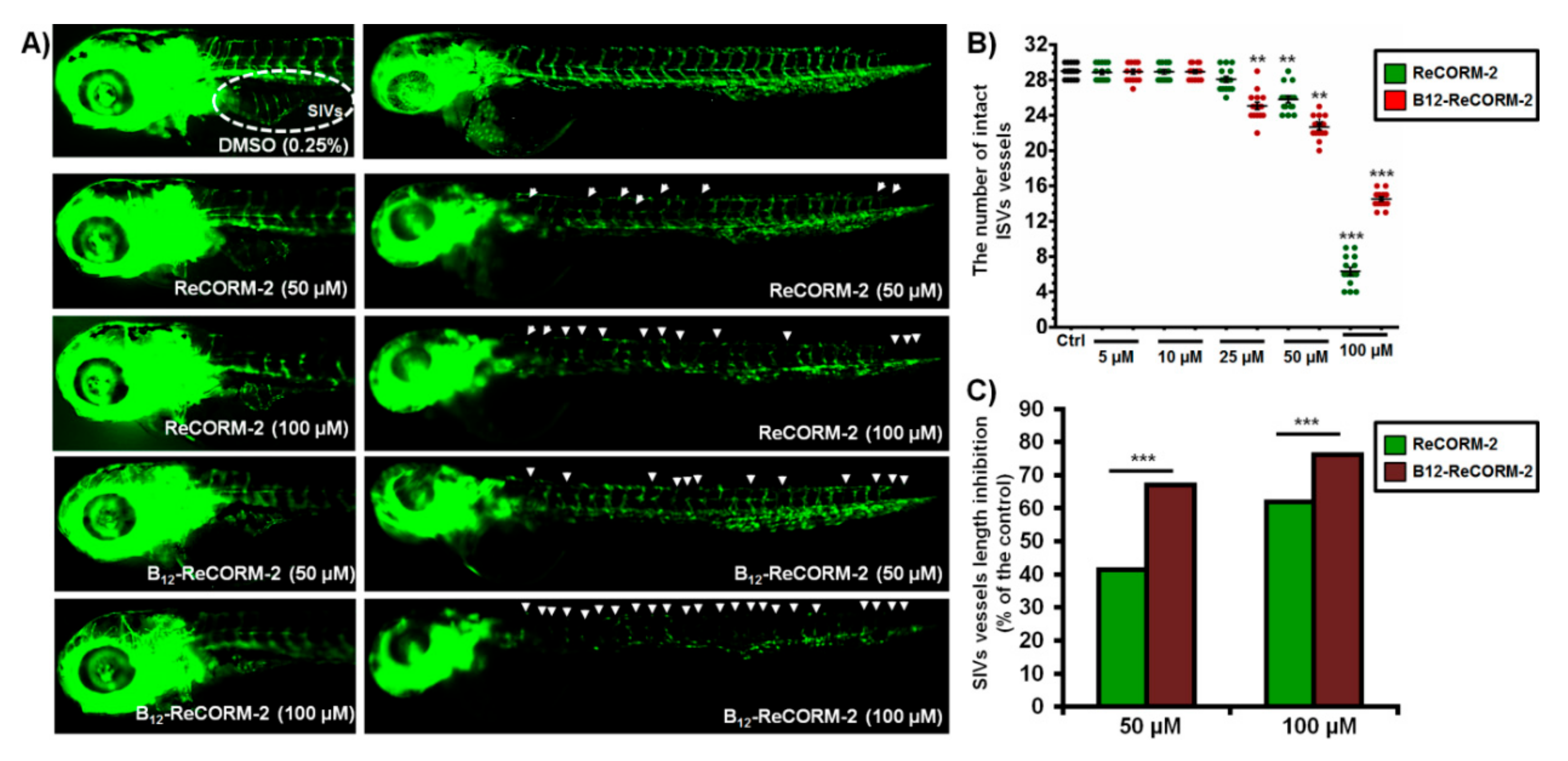 Applsci 10 07380 g007