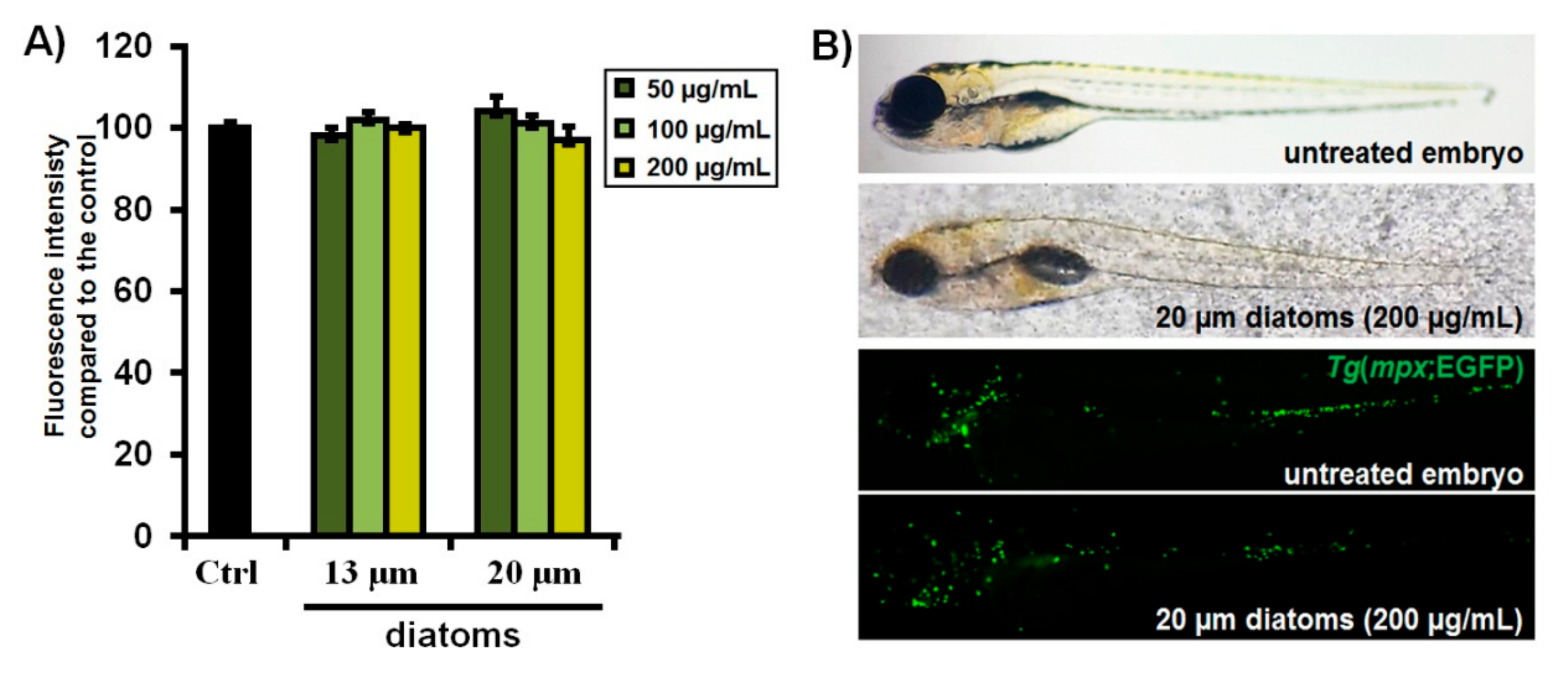 Applsci 10 07380 g008