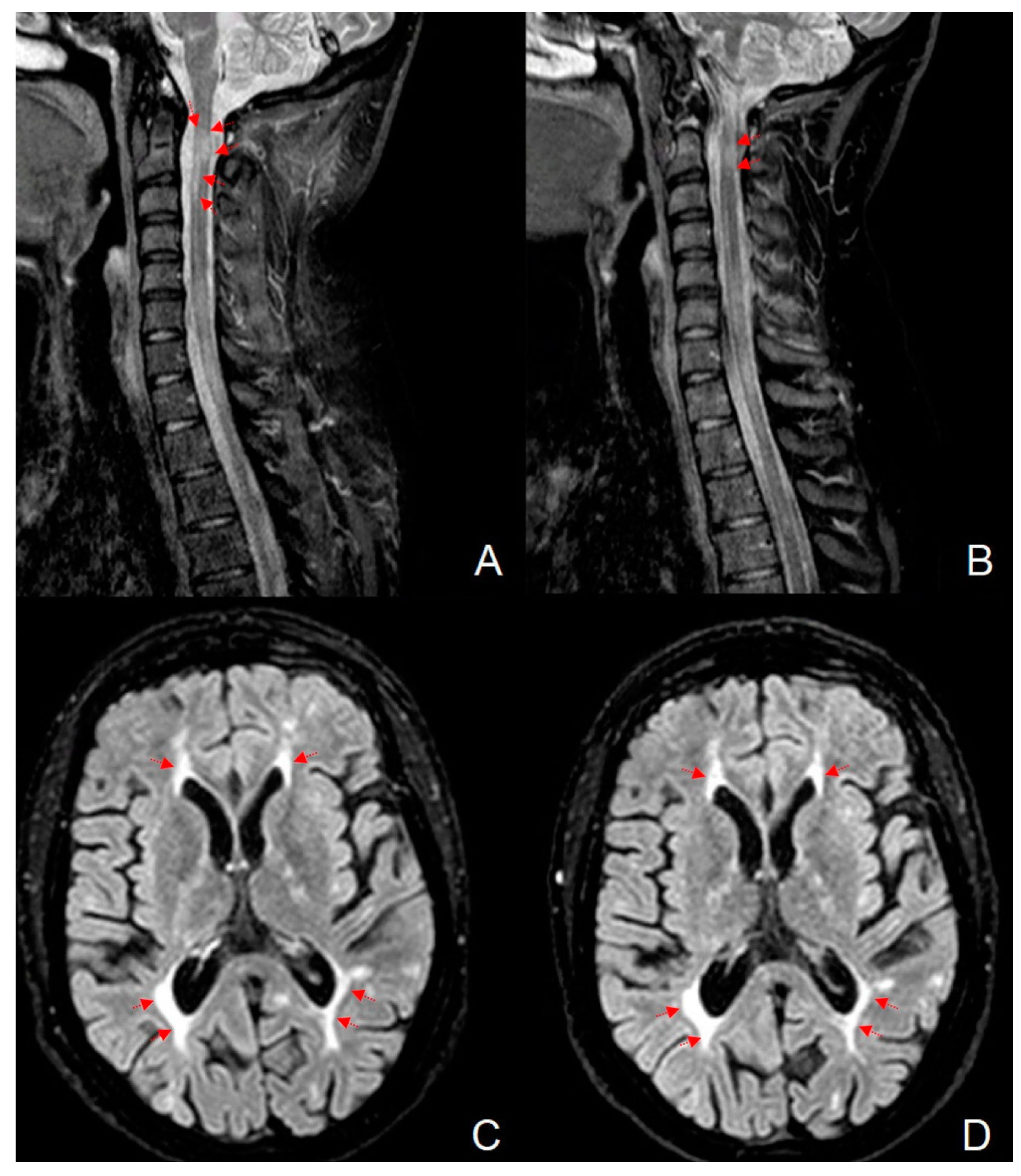 Applsci 10 07404 g001