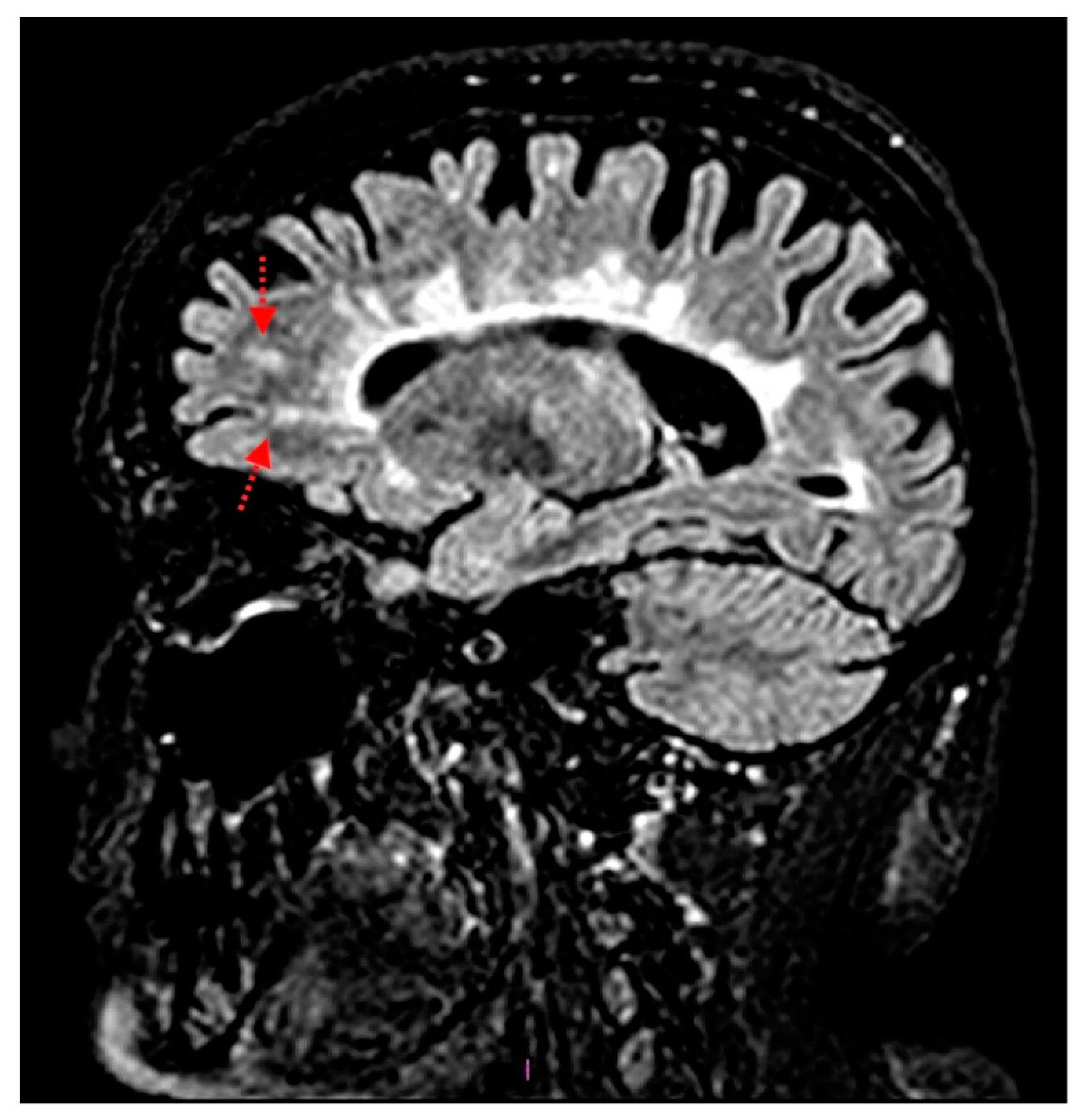 Applsci 10 07404 g002