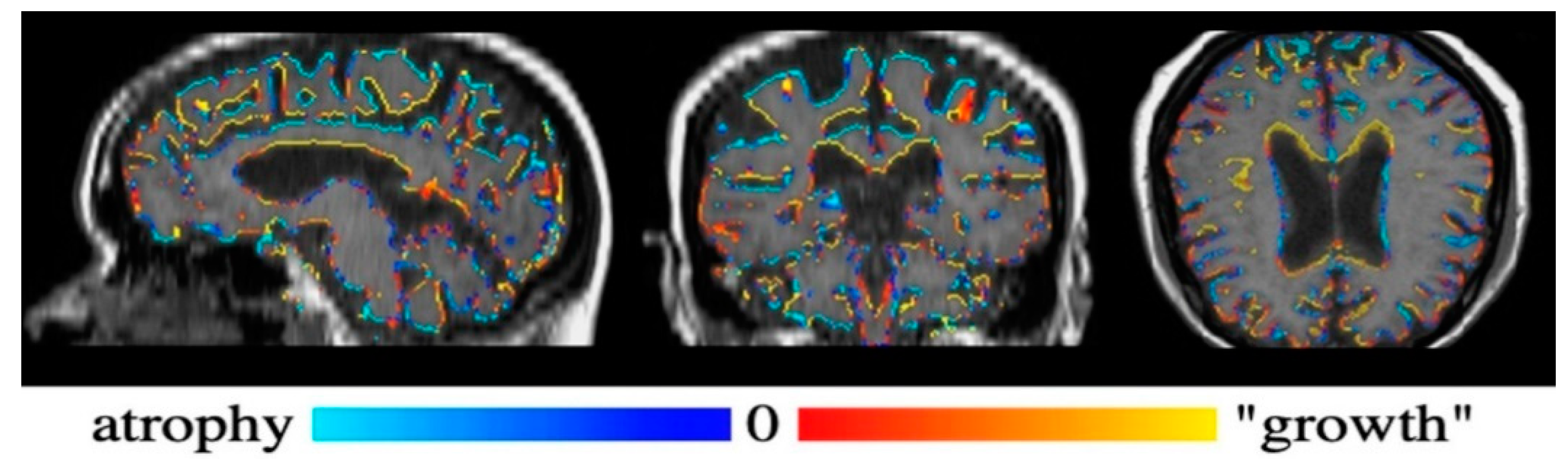 Applsci 10 07404 g004