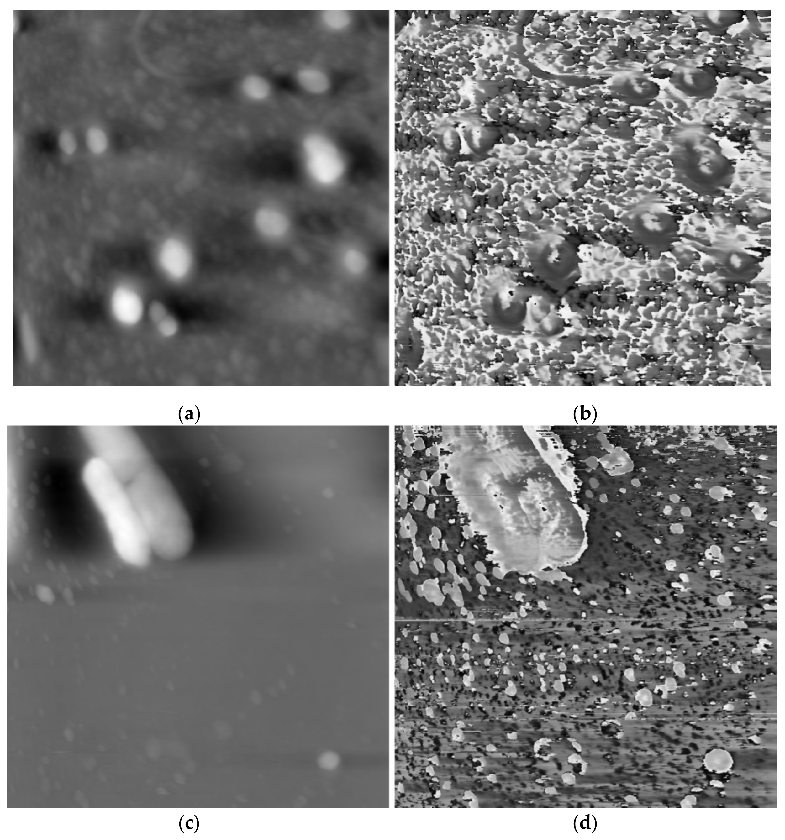 Applsci 10 07424 g004