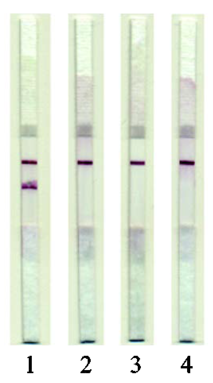 Applsci 10 07437 g004