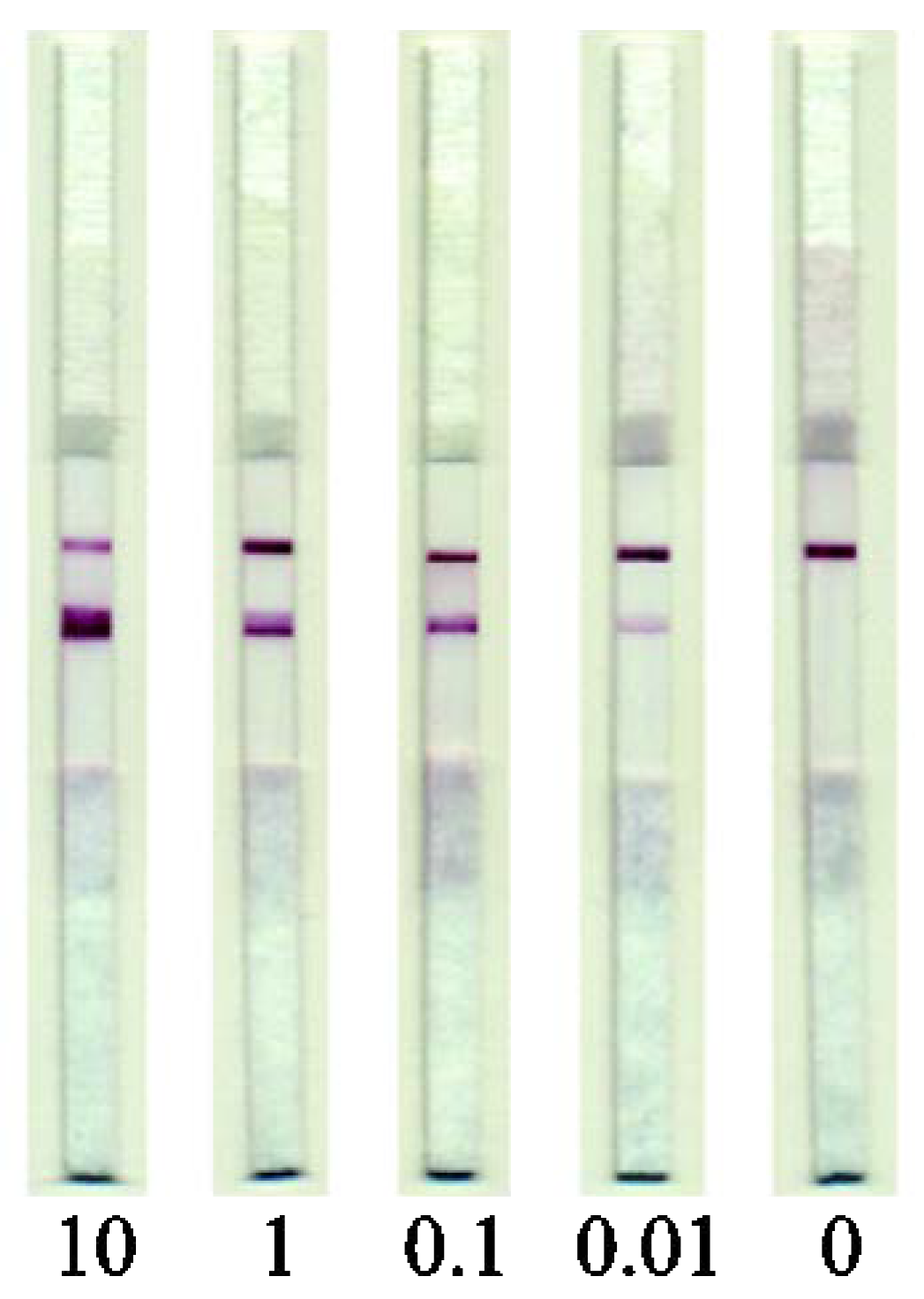 Applsci 10 07437 g005