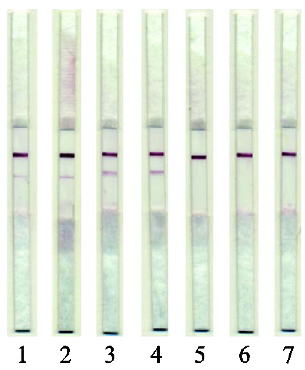 Applsci 10 07437 g006