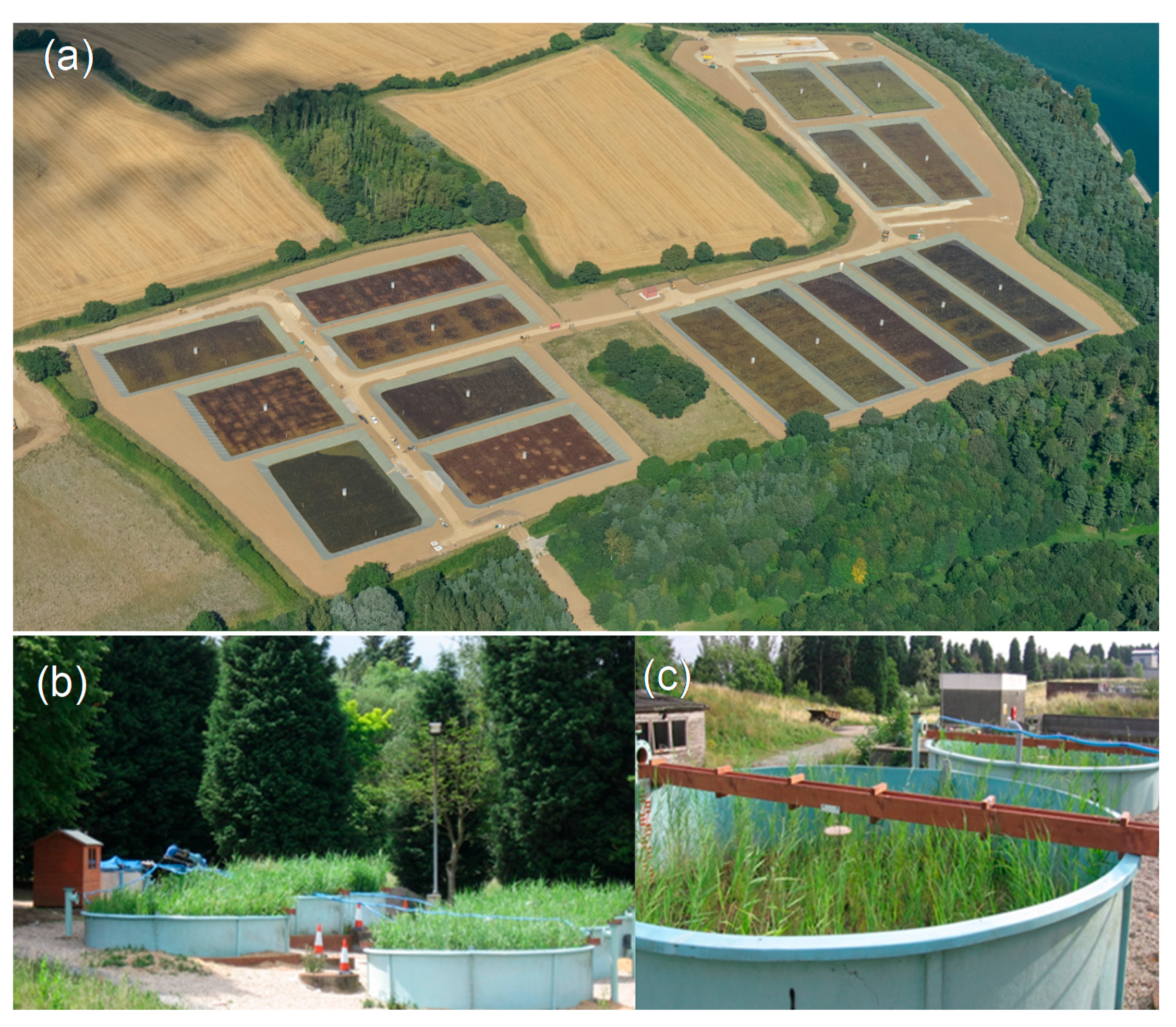 Applsci 10 07446 g008