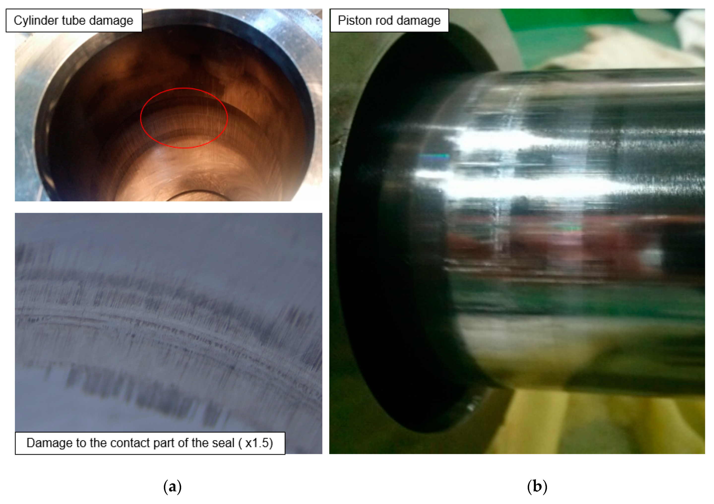 Applsci 10 07451 g003