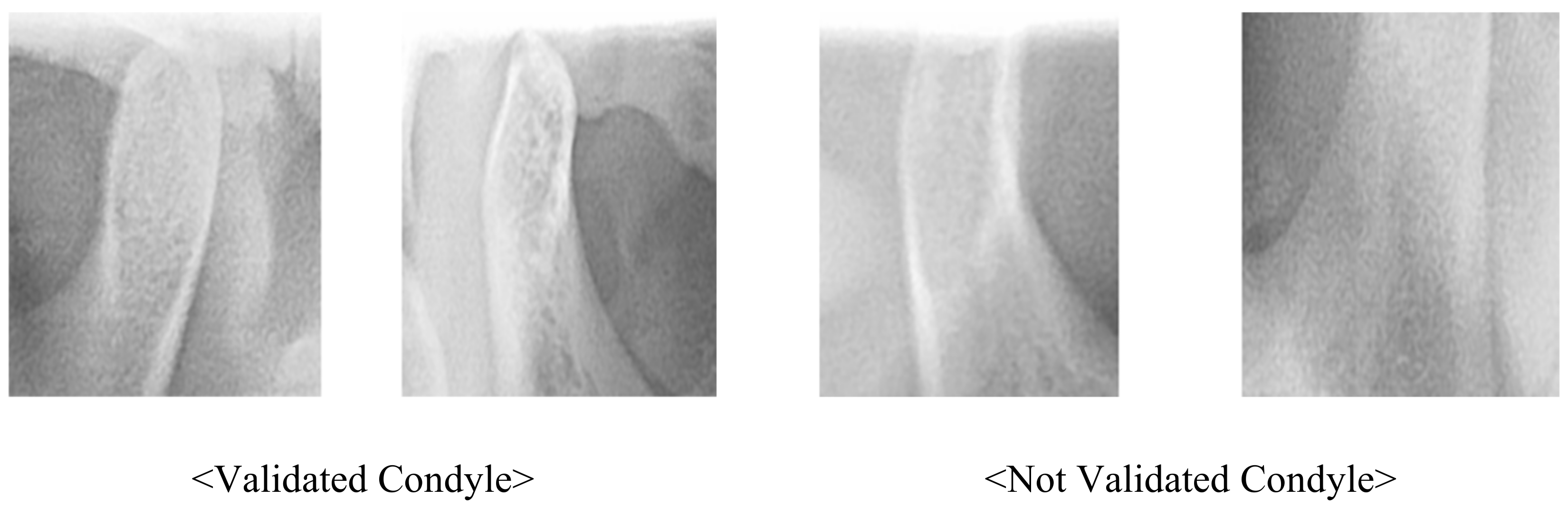 Applsci 10 07464 g007