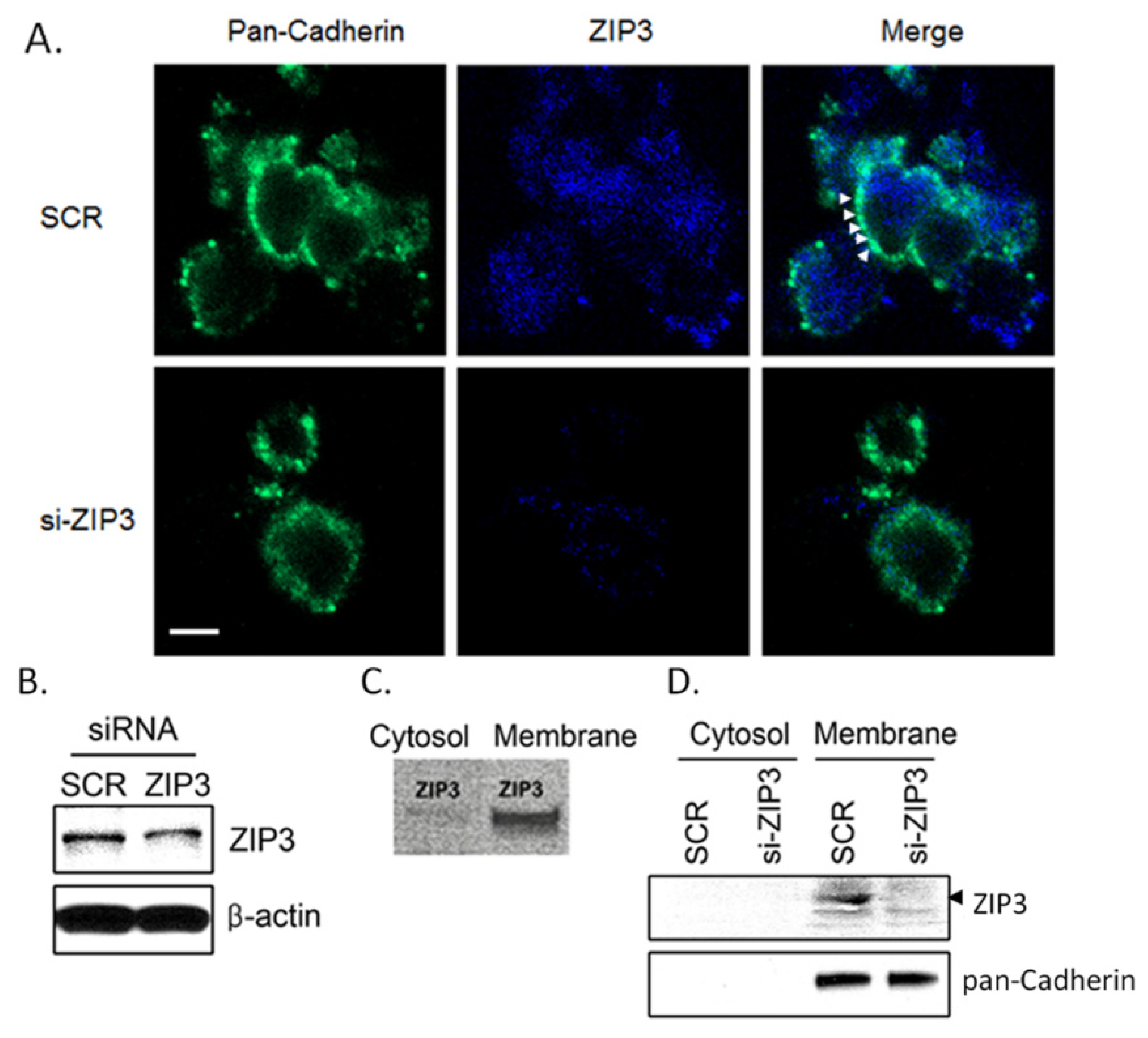 Applsci 10 07476 g001