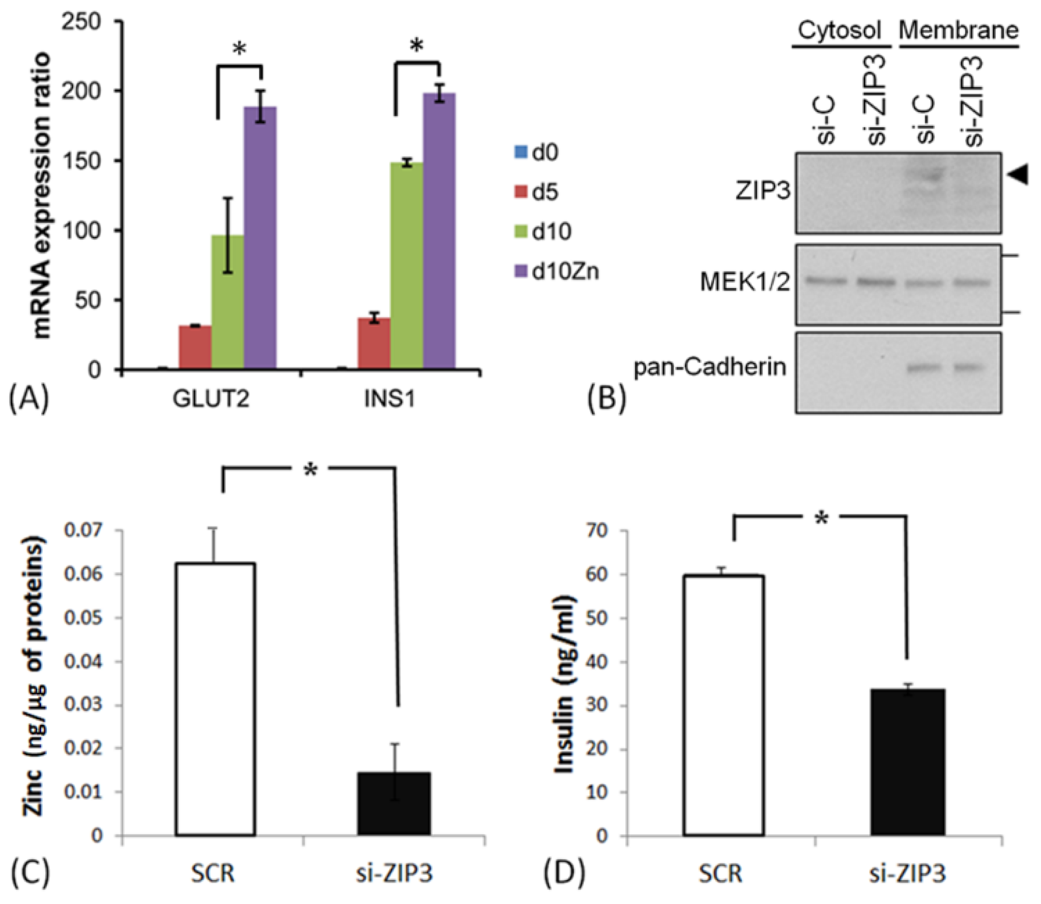 Applsci 10 07476 g003