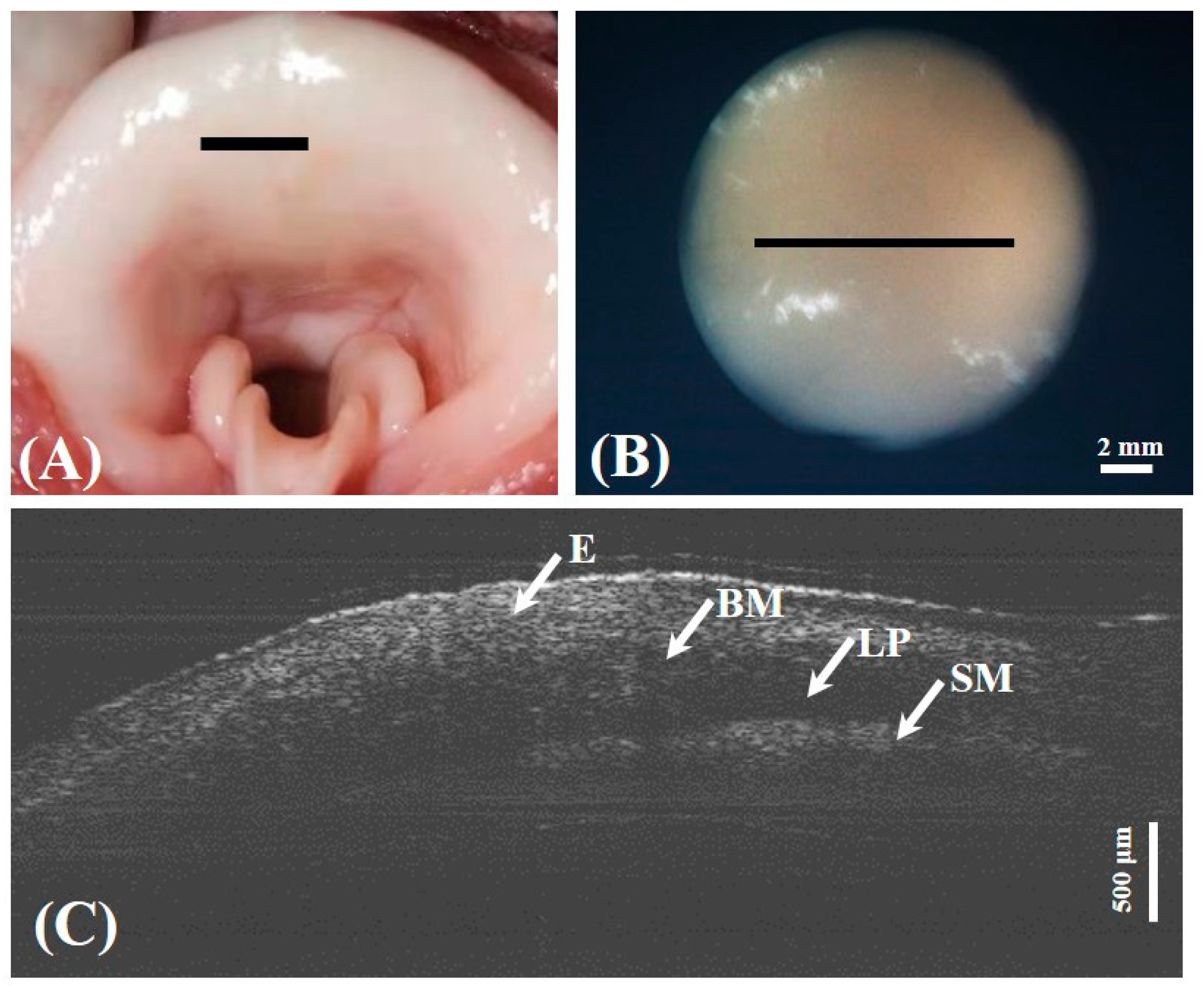 Applsci 10 07491 g004 Applsci 10 07491 g004