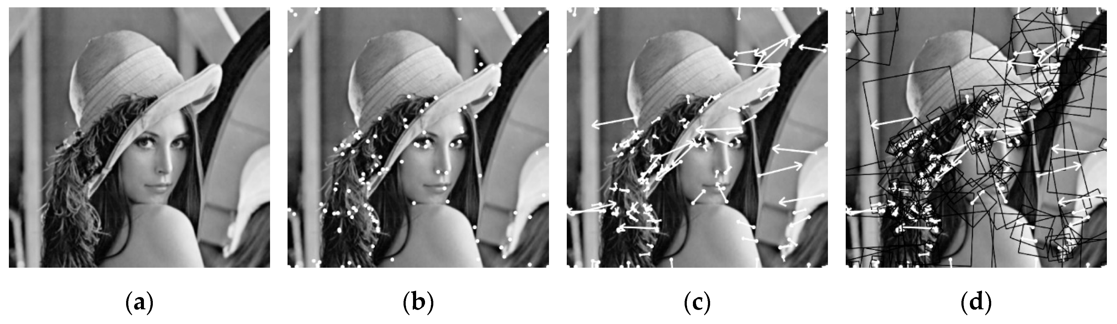 Applsci 10 07494 g004