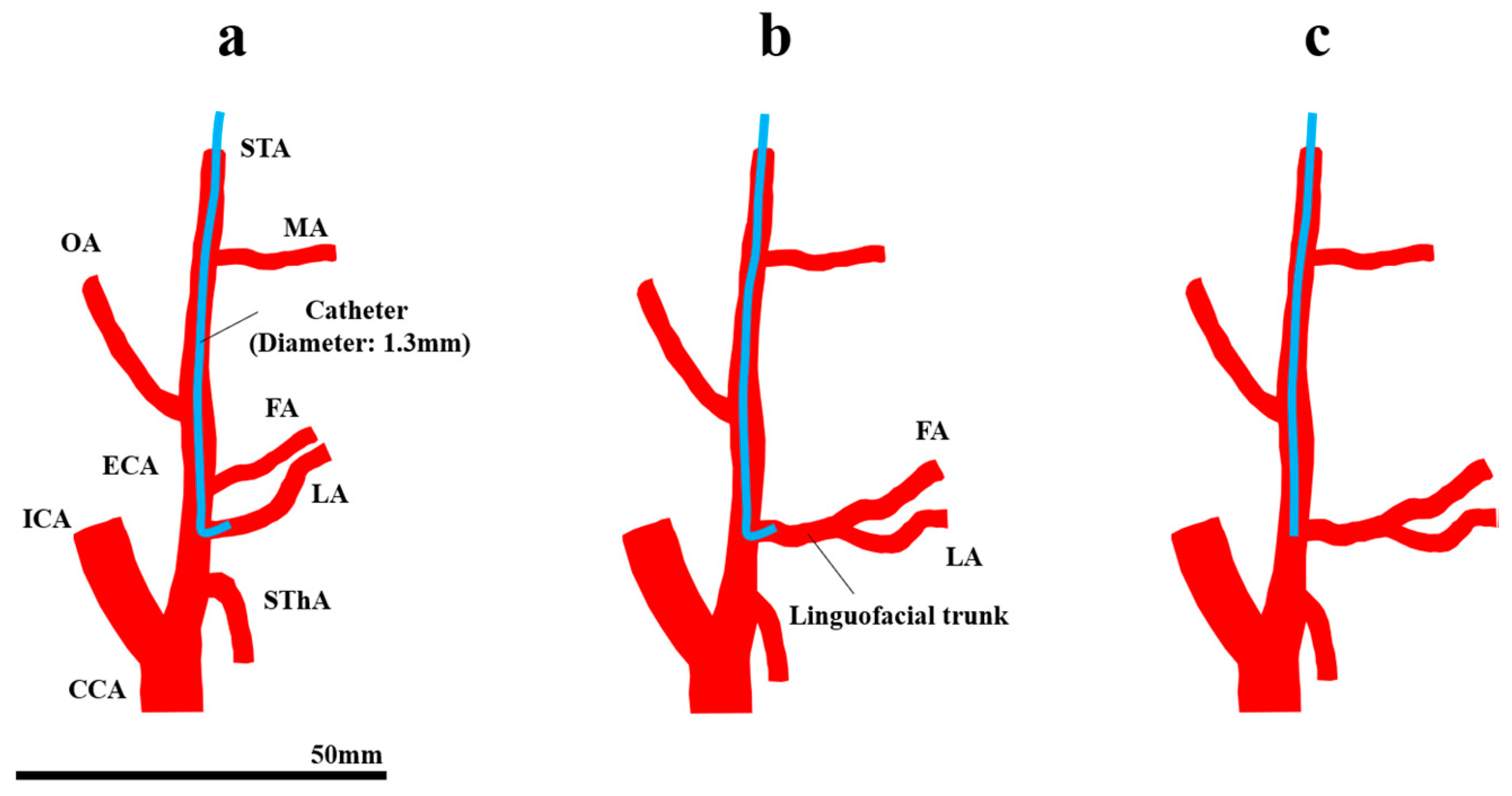 Applsci 10 07496 g001 Applsci 10 07496 g001