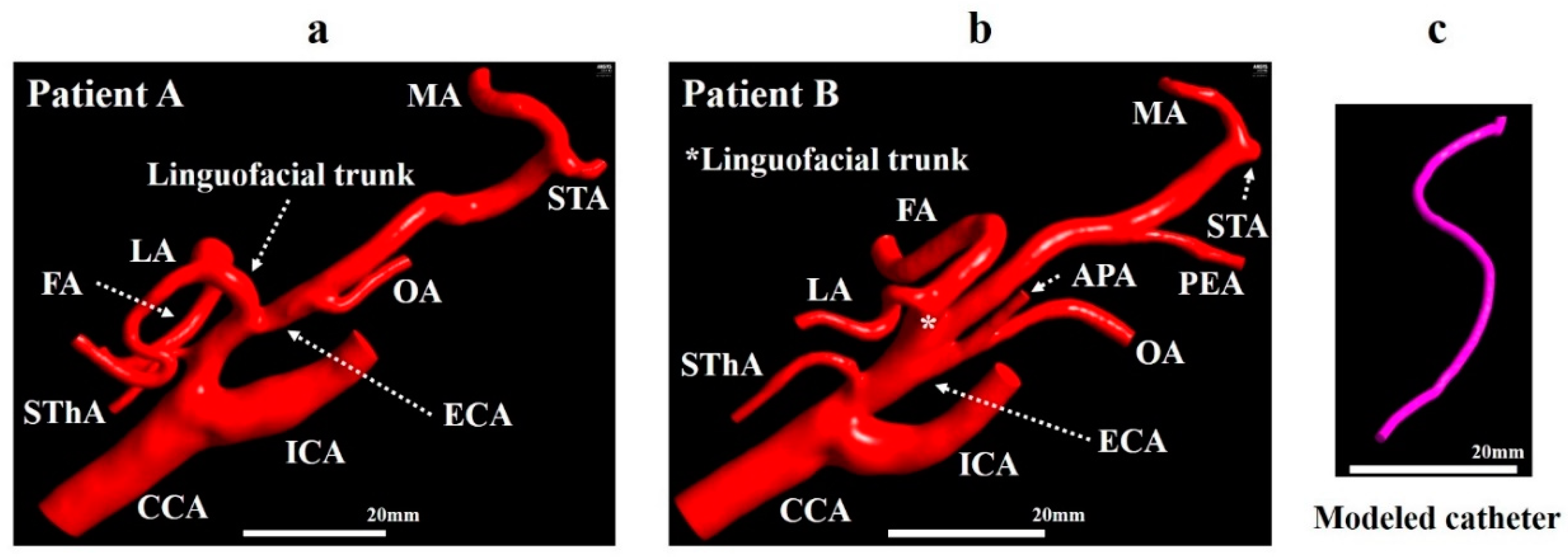 Applsci 10 07496 g002 Applsci 10 07496 g002