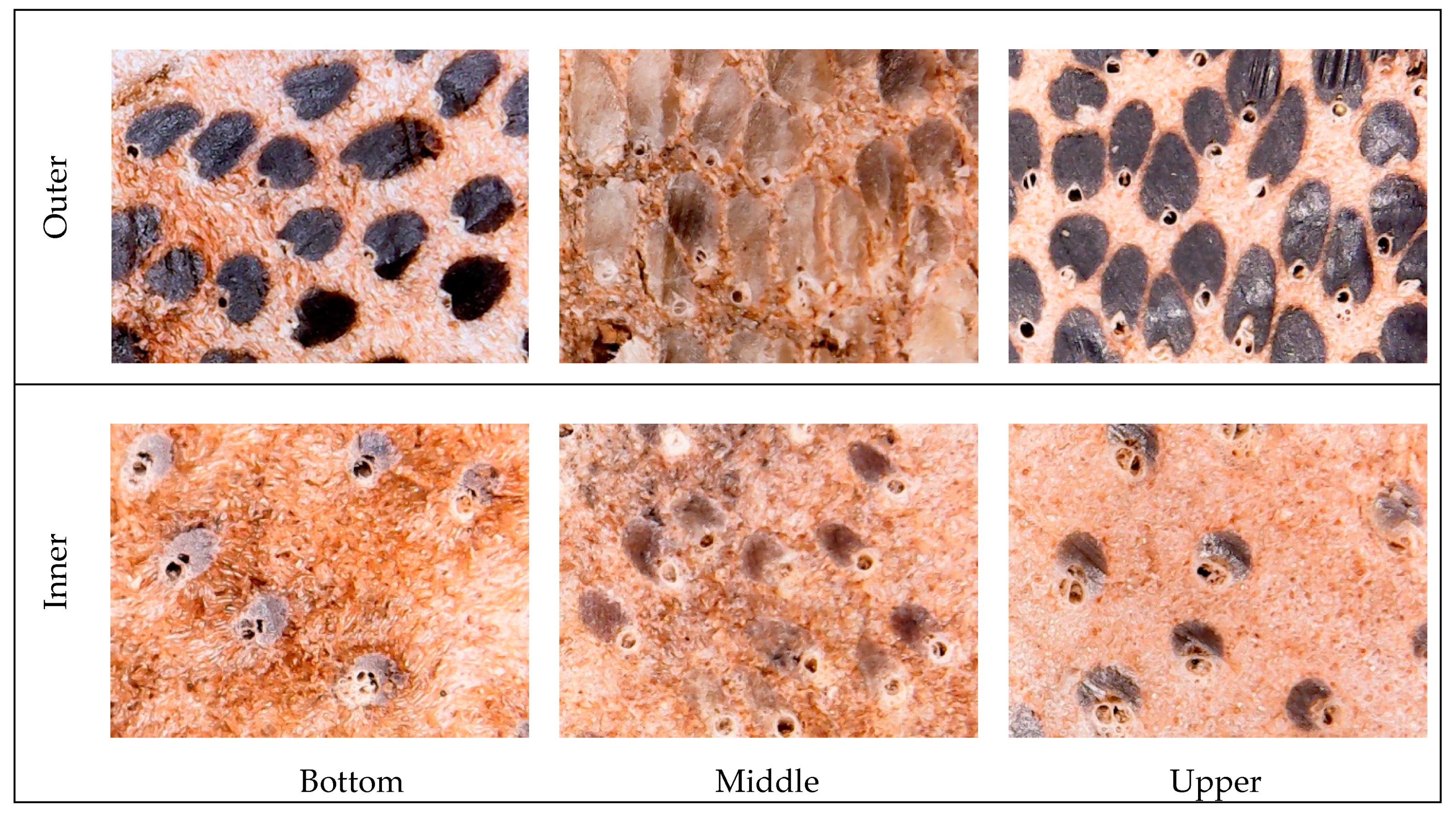 Applsci 10 07501 g004