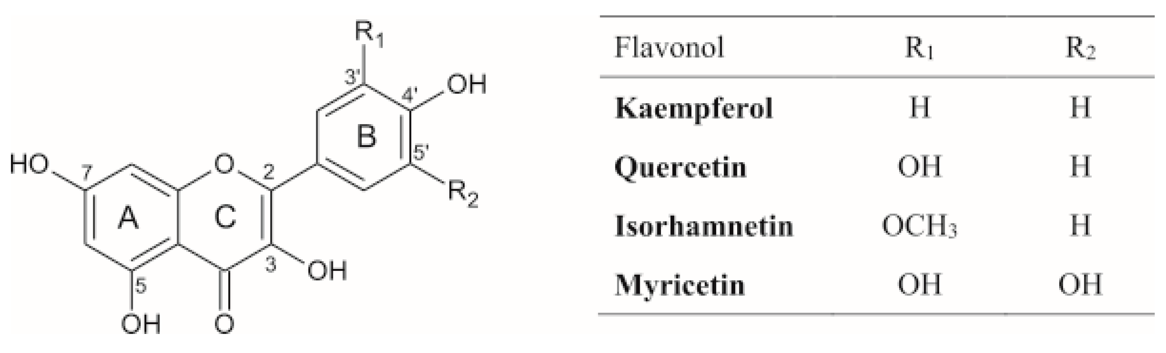 Applsci 10 07511 g001