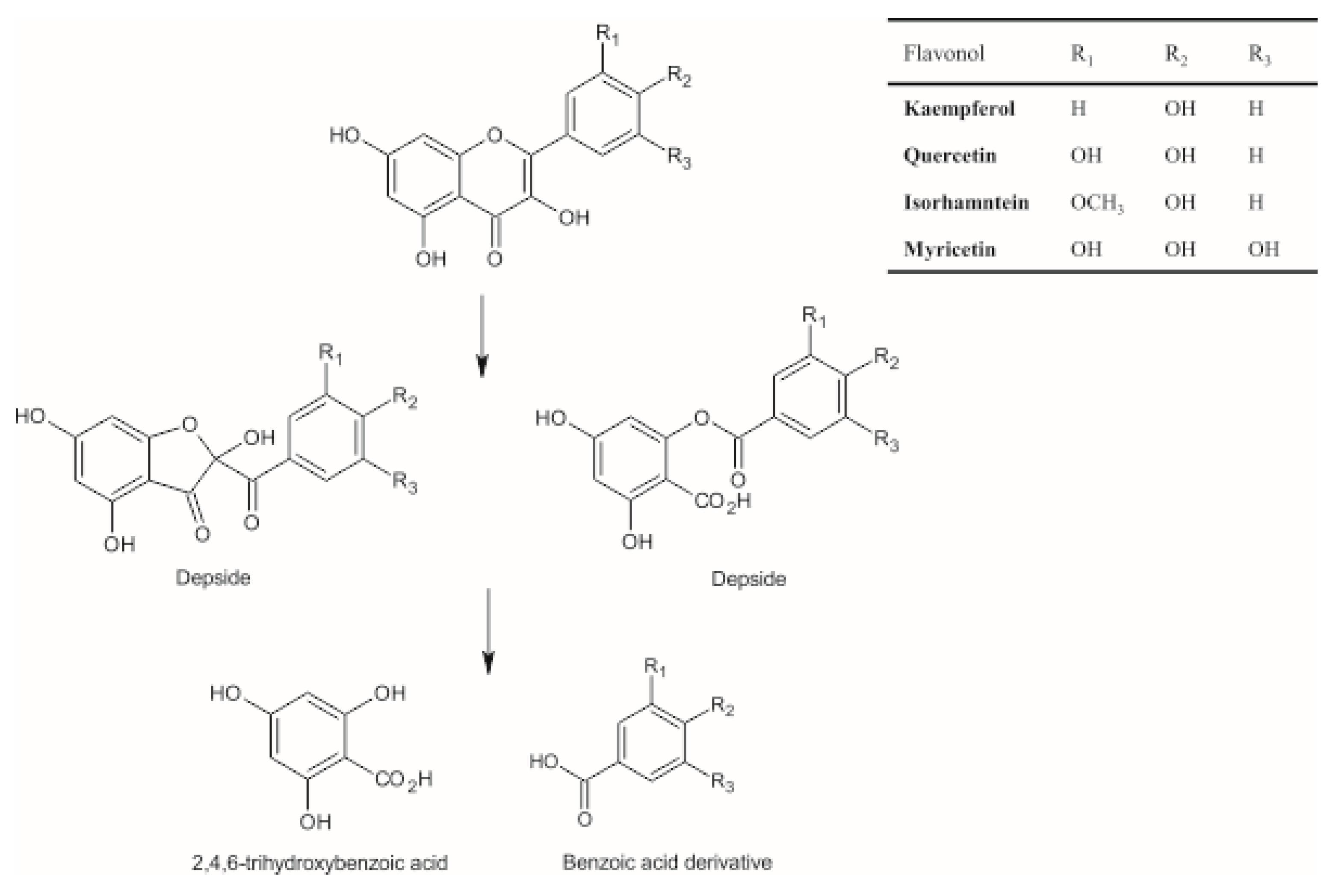 Applsci 10 07511 g005