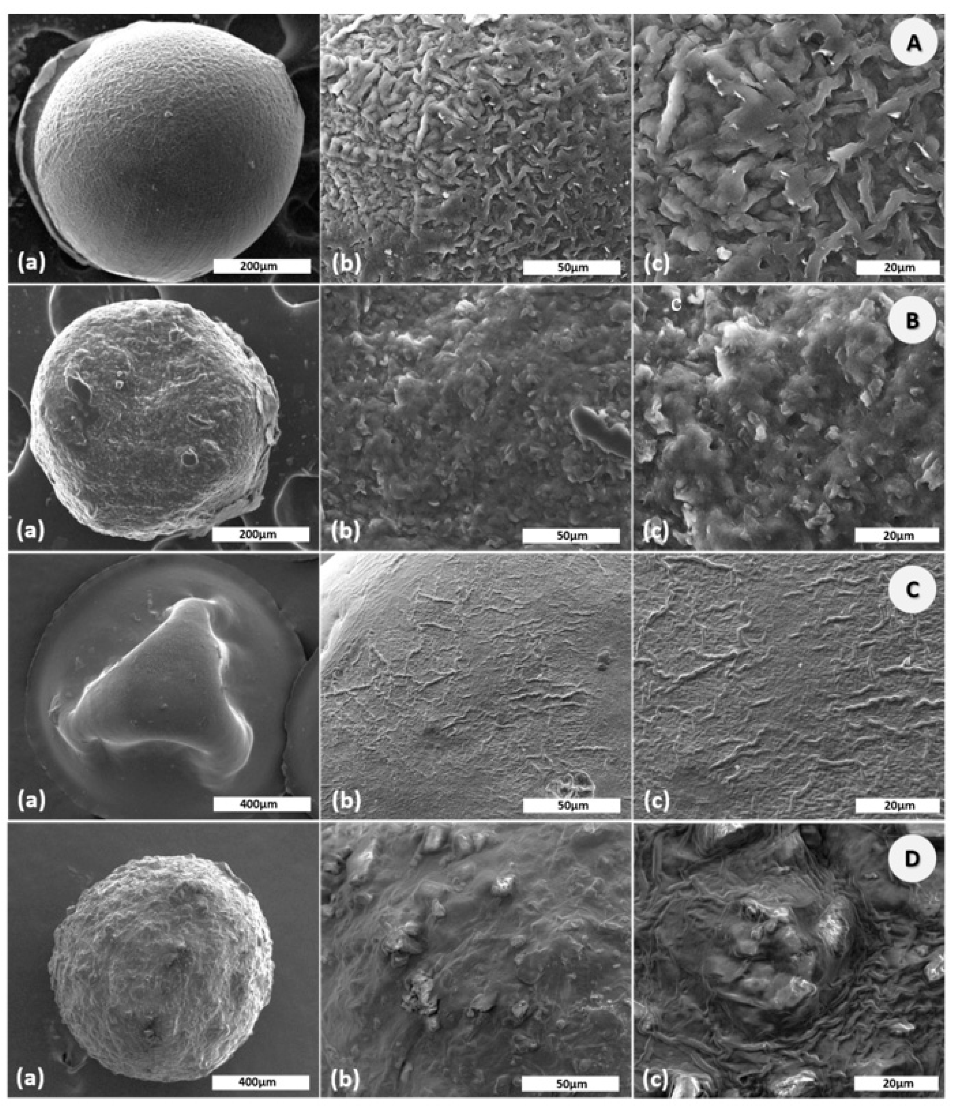 Applsci 10 07532 g001